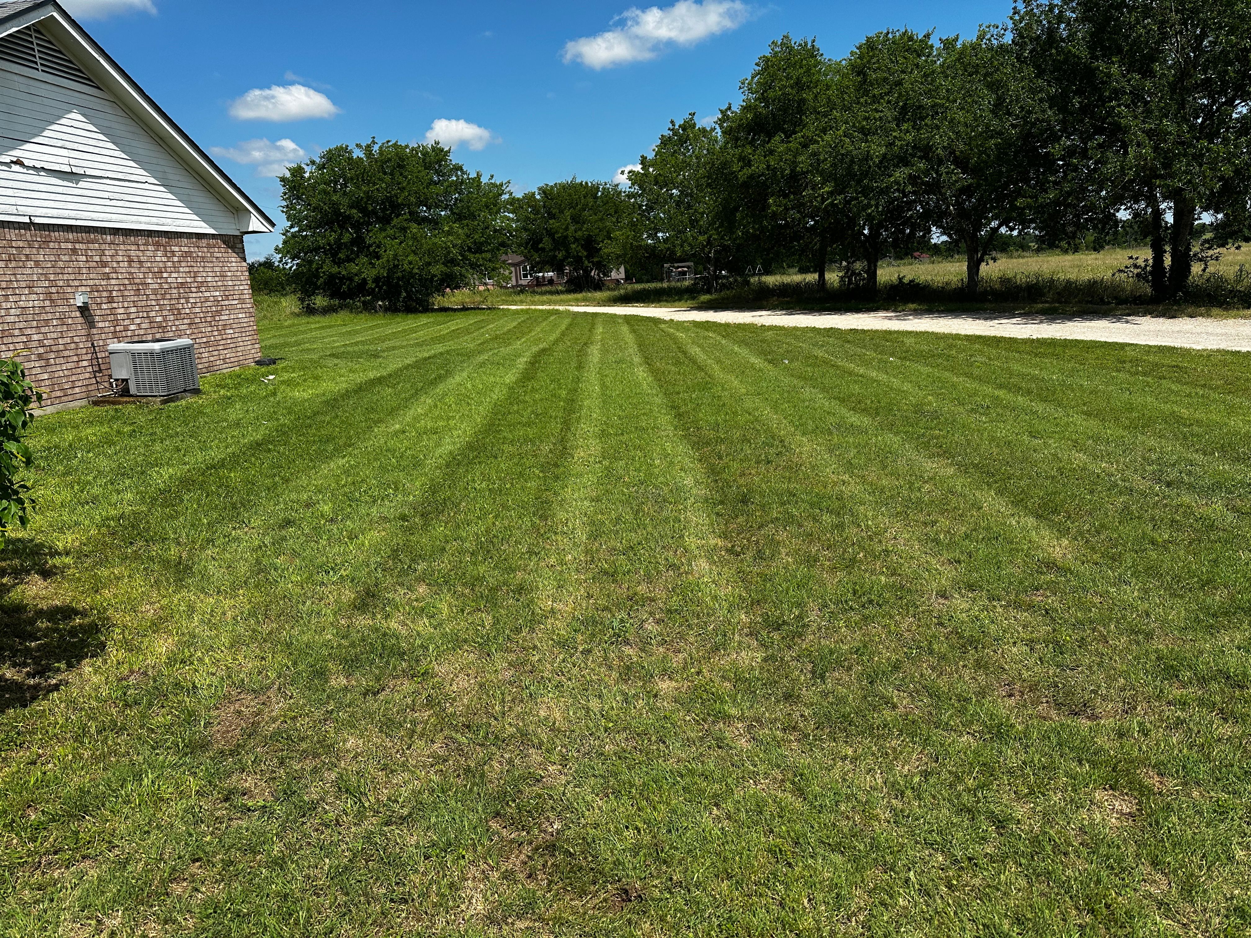 for Scalpel Lawn Service in Temple, TX