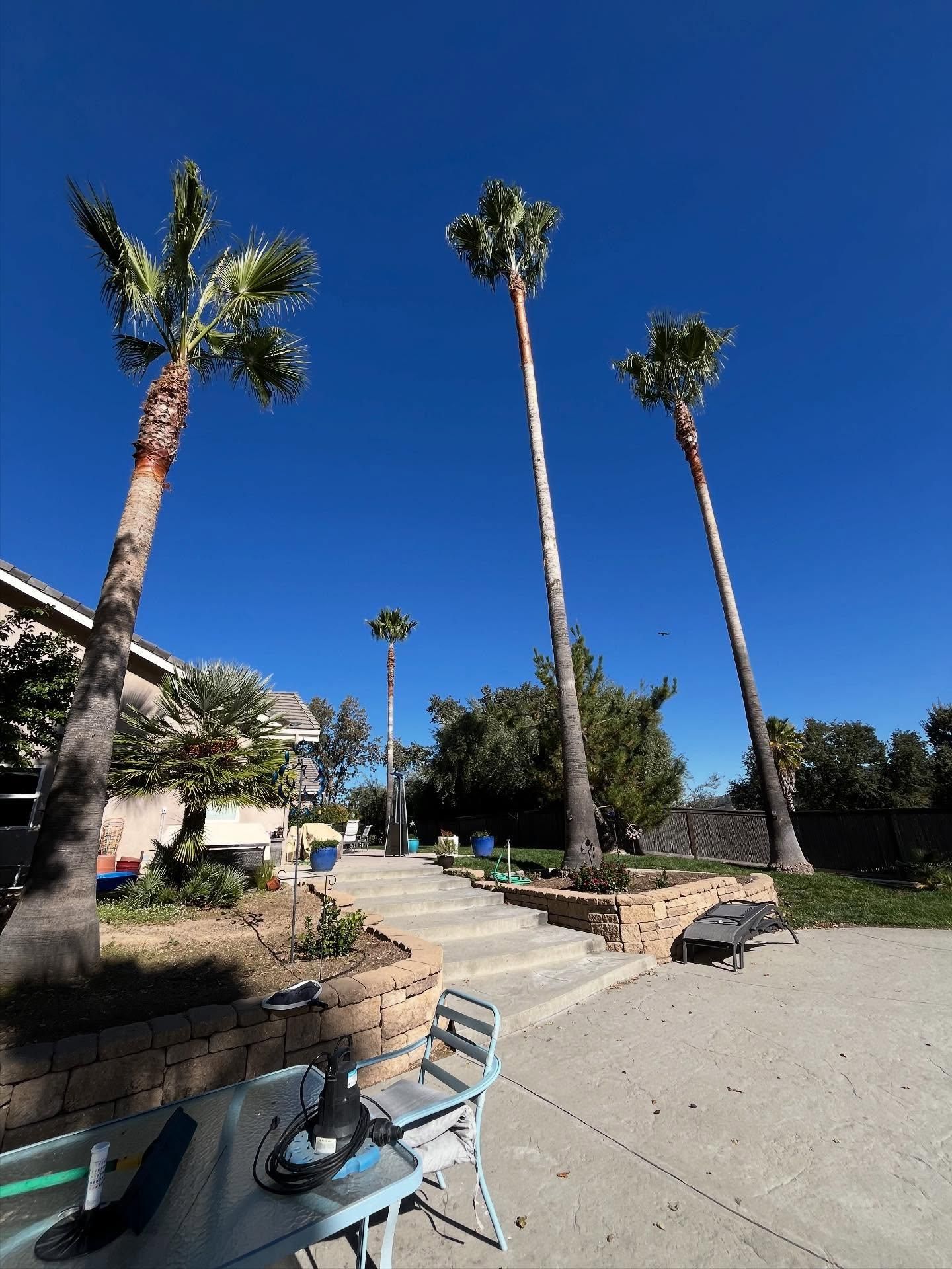  for A1 Junk & Tree Solutions, LLC in Paso Robles, CA