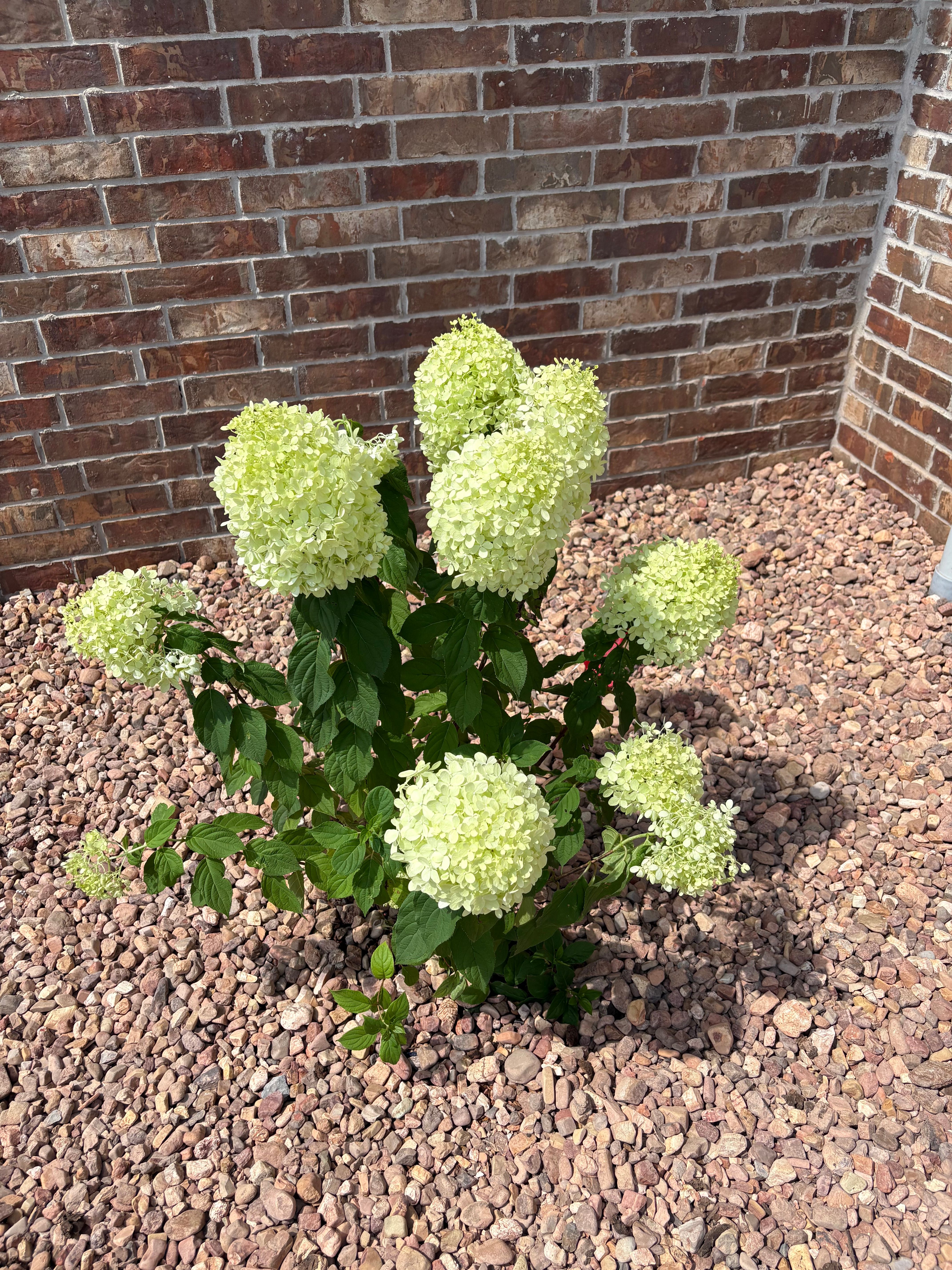  for Divine Landscaping  in Stillwater, OK