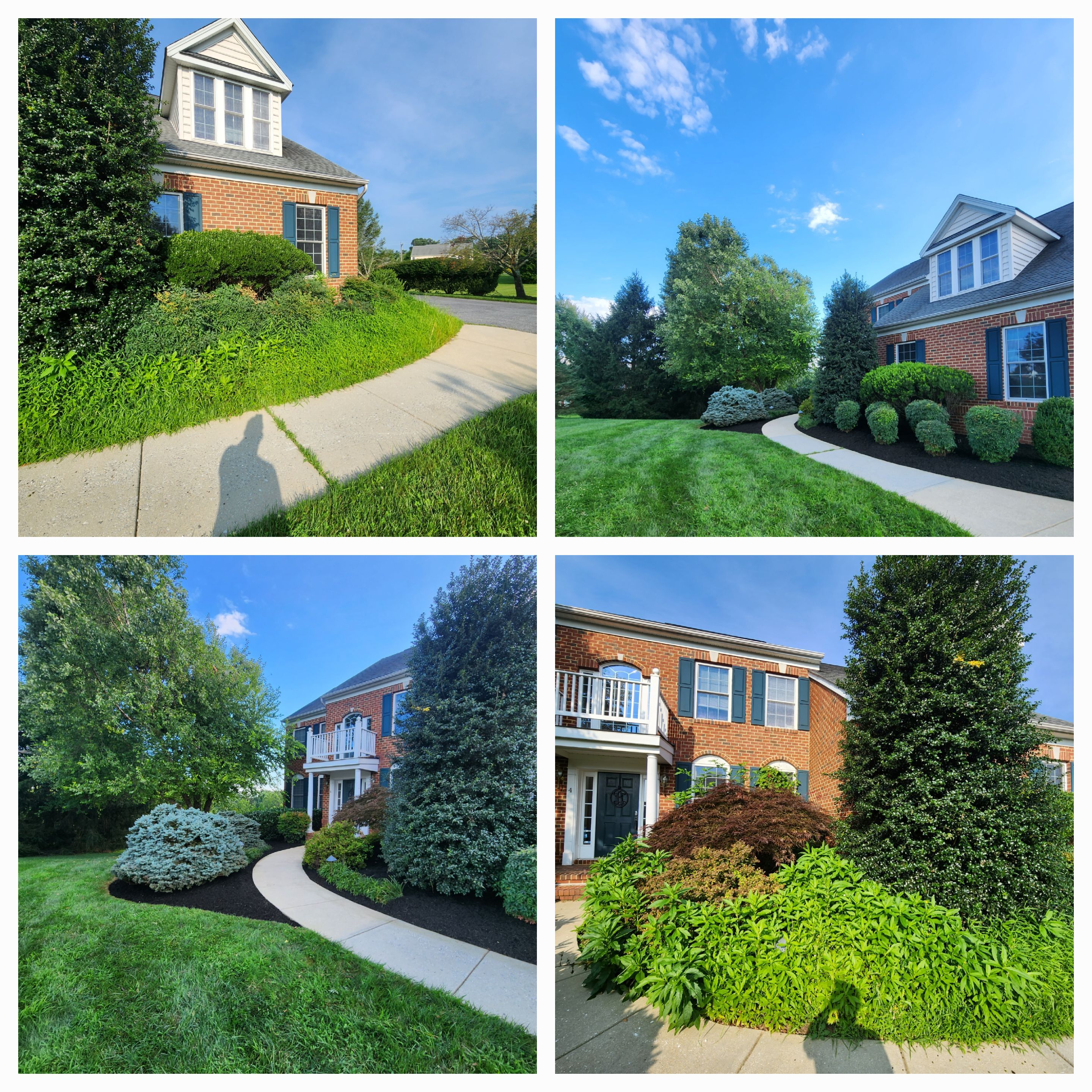 All Photos for Wiley Landscape Design in York, PA