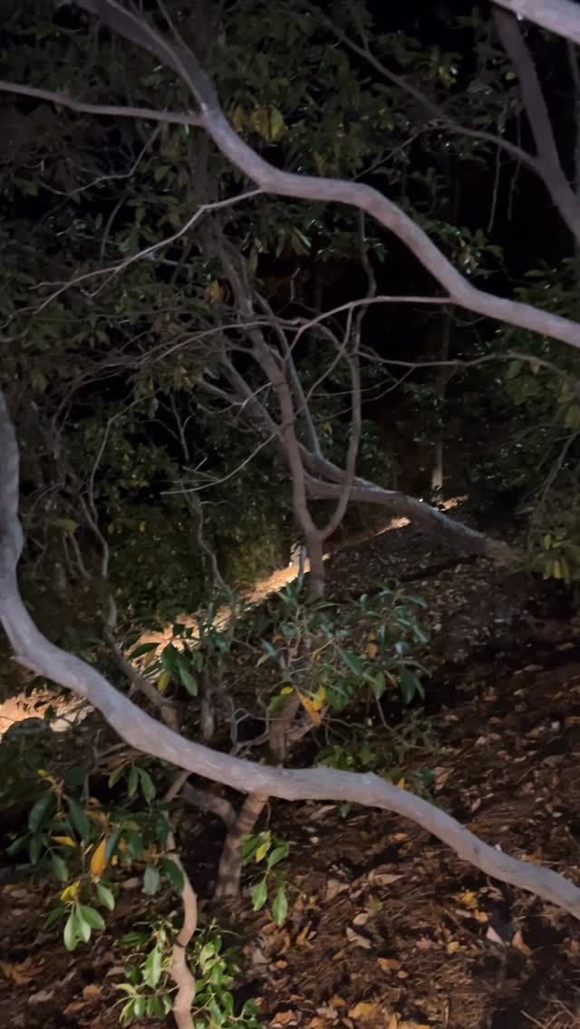 Lighting Installs for AMPED UP ELECTRICAL in Spartanburg, SC