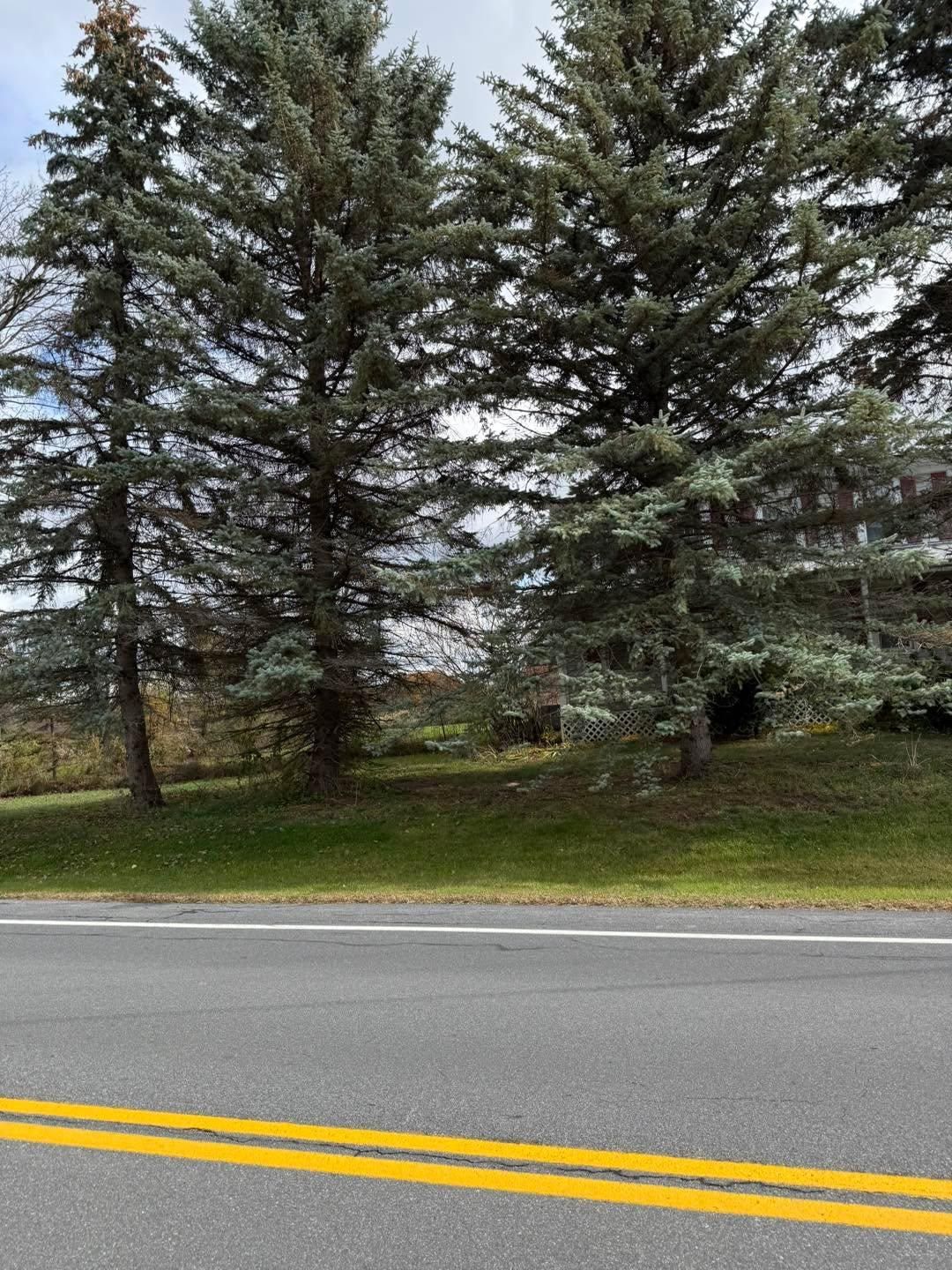  for Sterlings Tree Removal in Cobleskill, New York