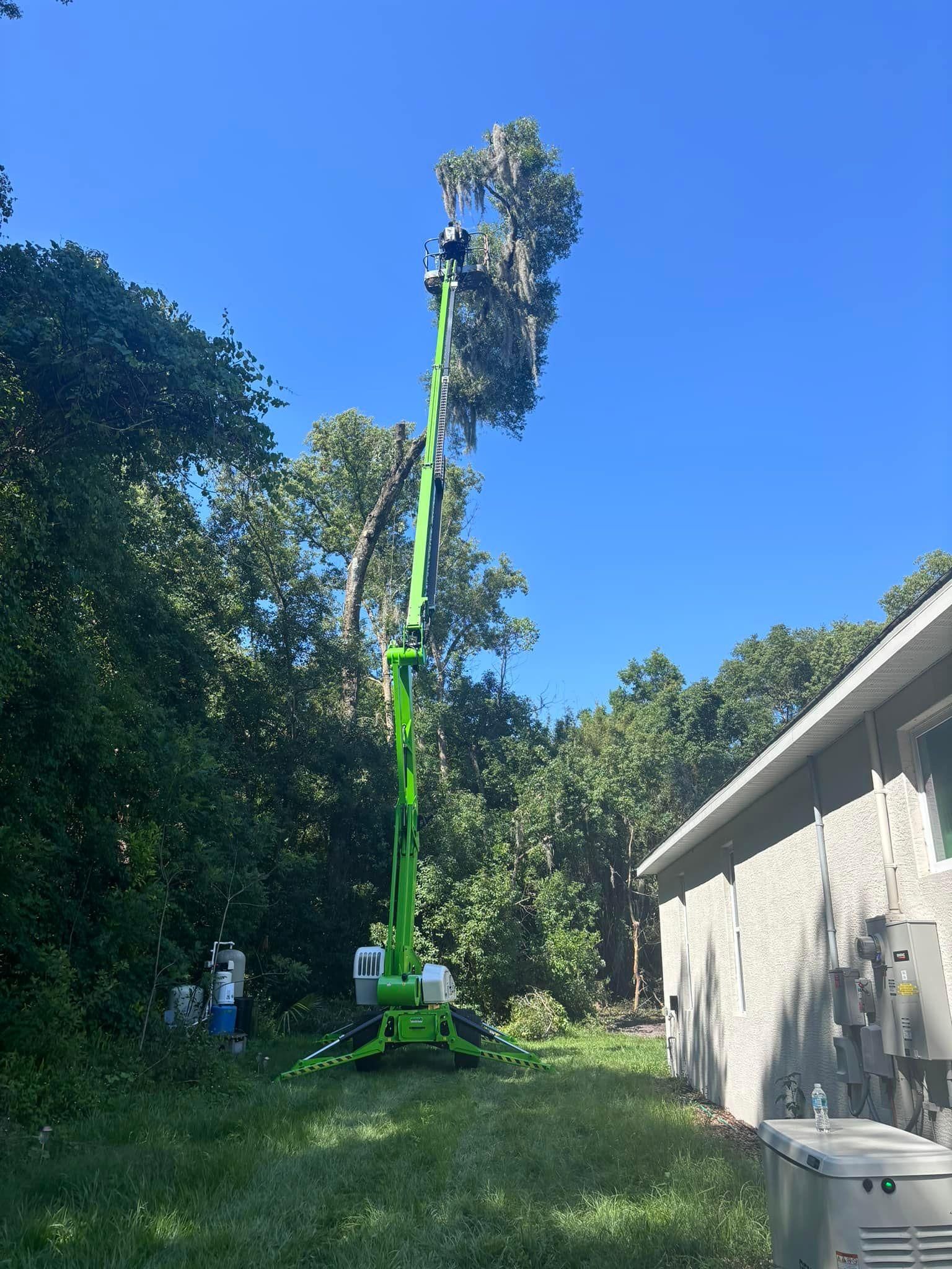  for McGraw’s Lawn and Tree Service in DeLand, FL