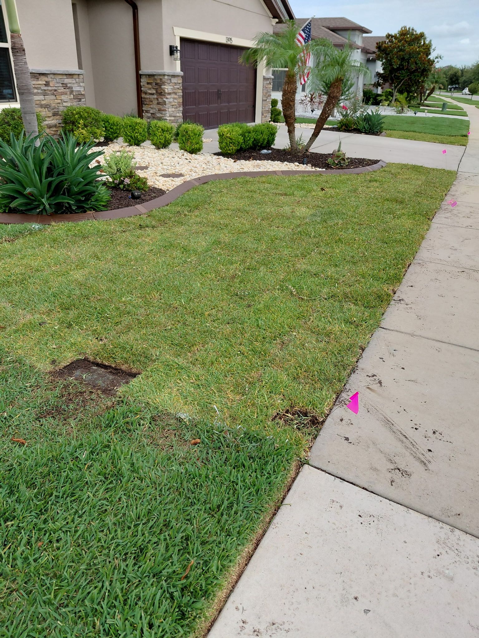  for Gulf Bay Sod in Clearwater, FL