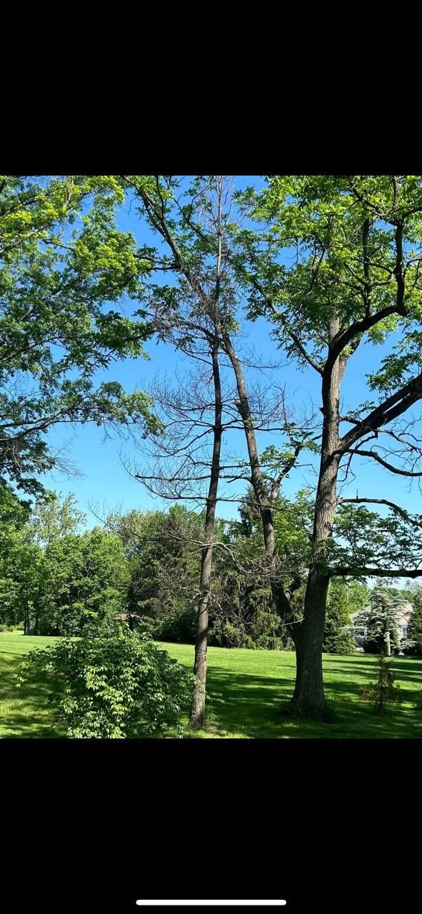  for Dig-It Tree Company in , 