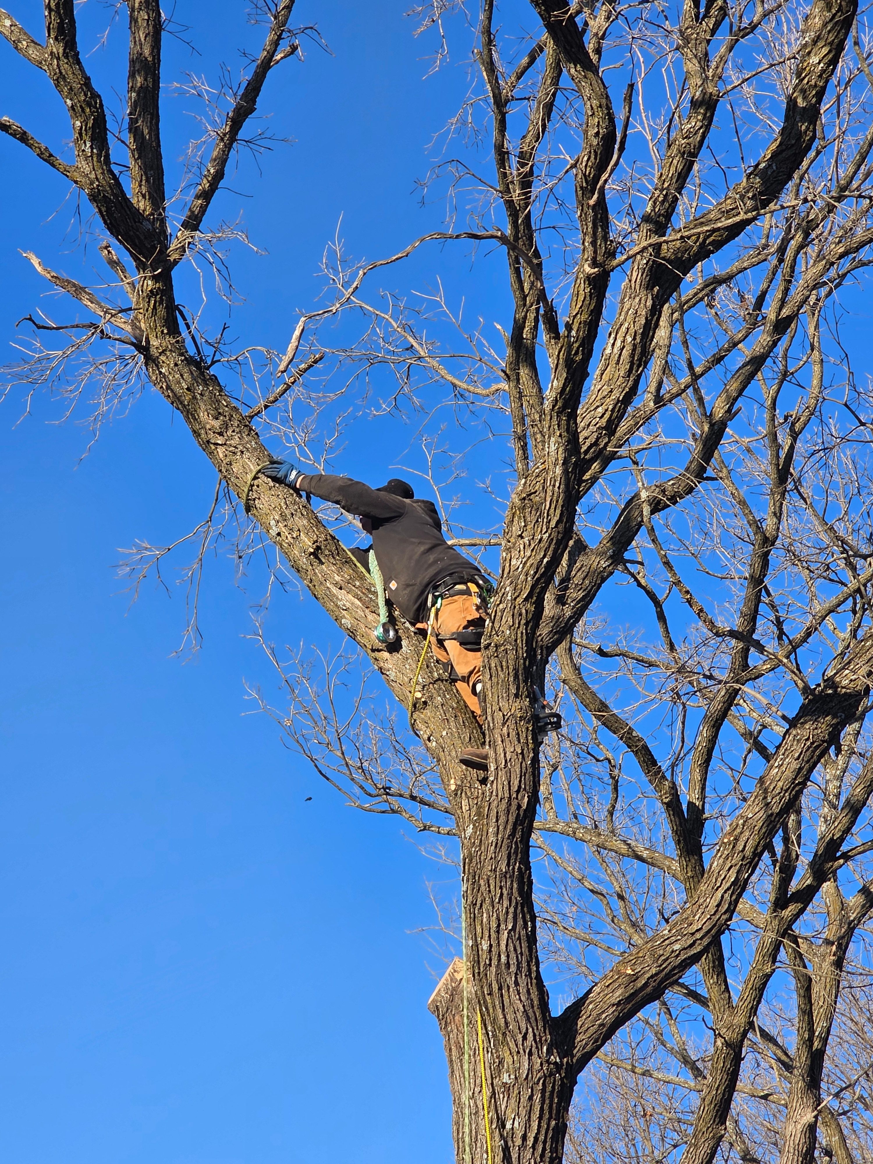 for Minnesota Seasonal in Corcoran, MN