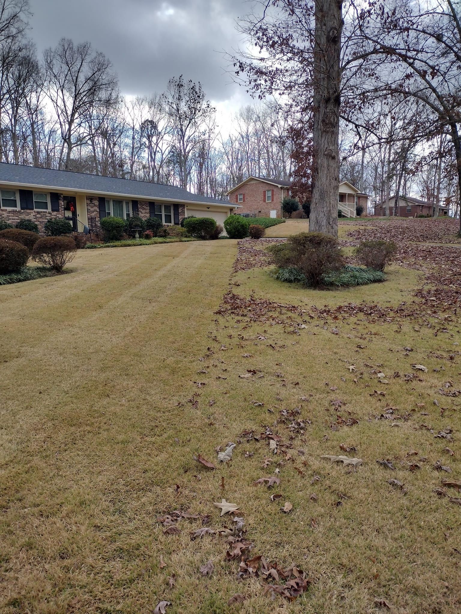  for Palmetto Cuts Lawn Care LLC in Simpsonville, SC