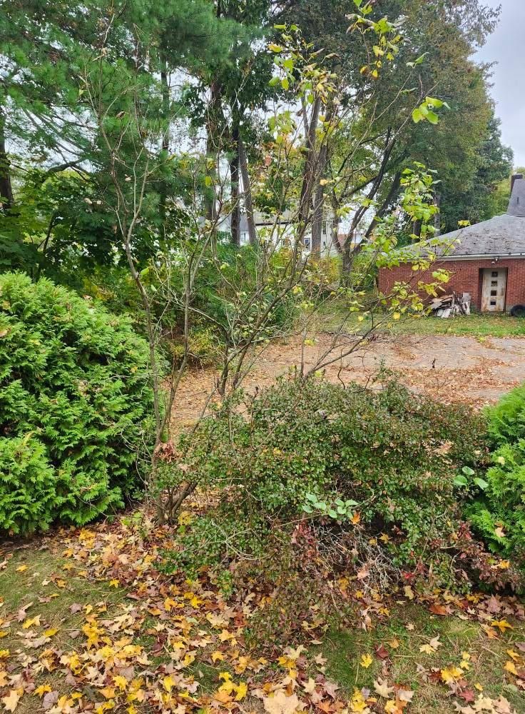  for Landscape Innovations LLC in Torrington, CT