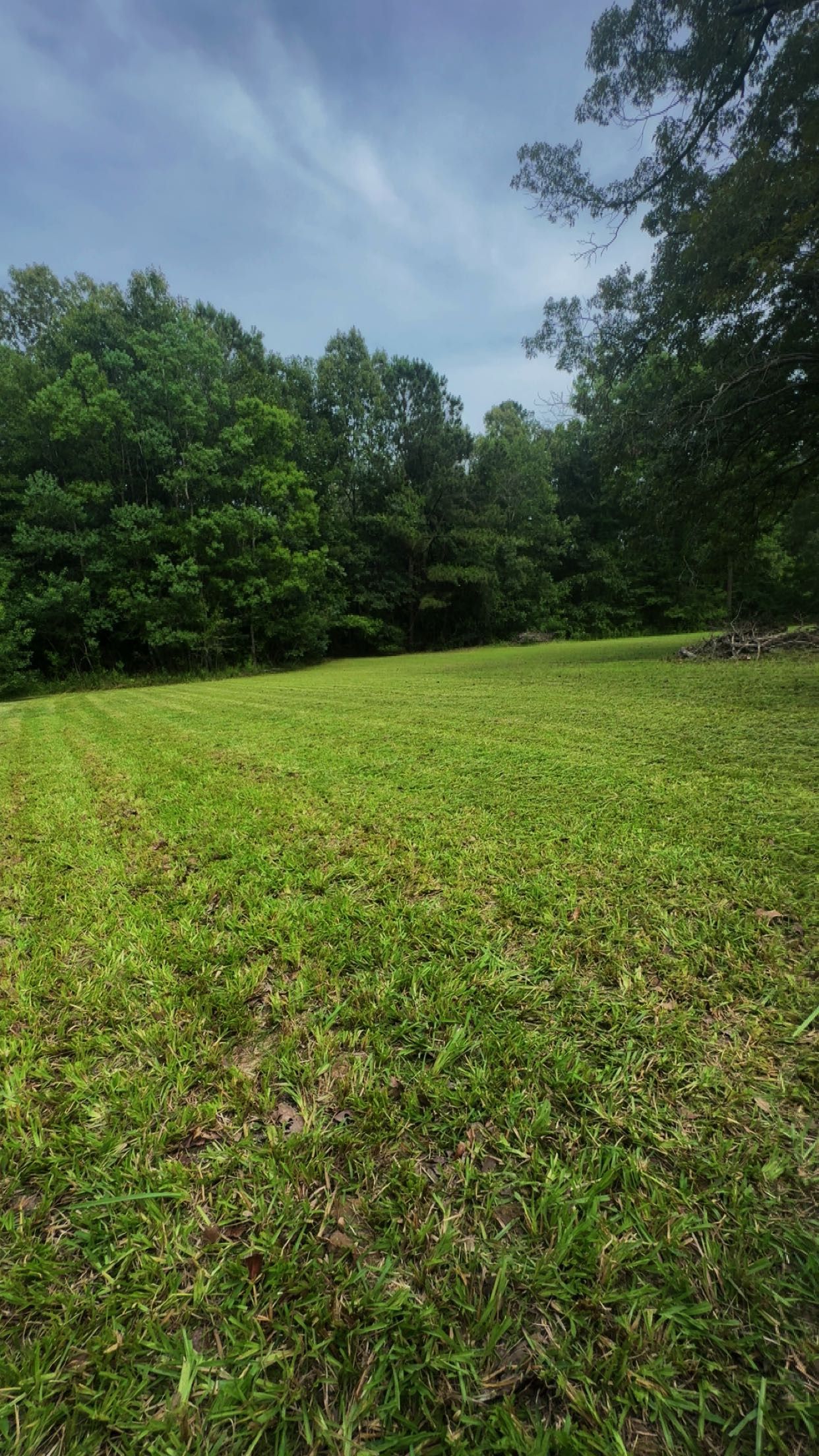 All Photos for Avery’s Lawn Care in Monroe, LA