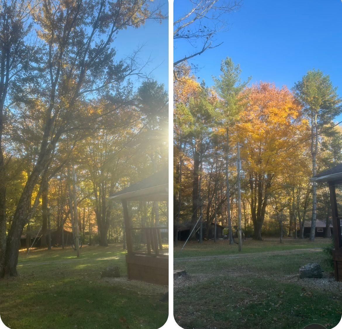  for McBee’s Tree Service in Sewanee, TN