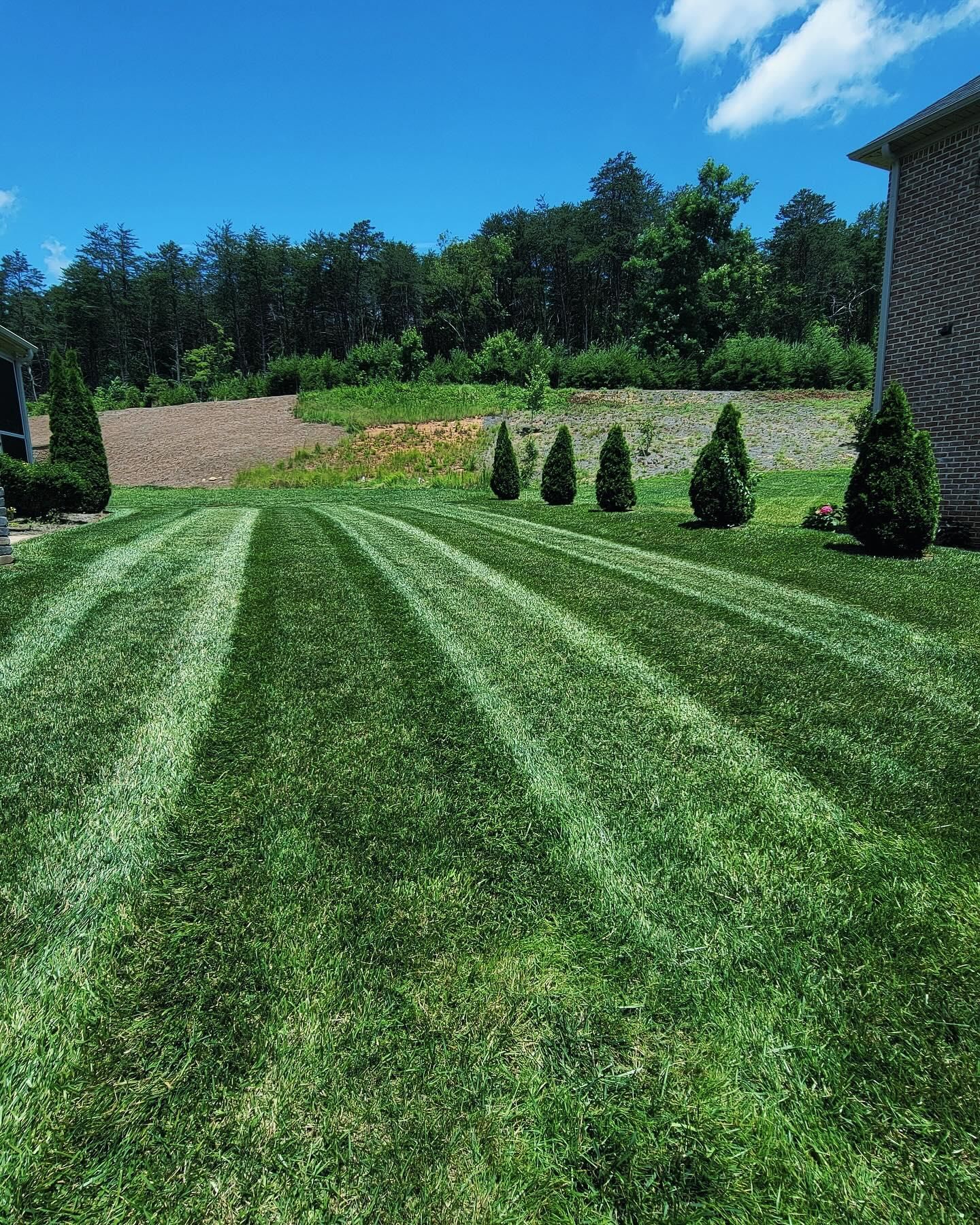  for Piedmont Lawn and Landscaping in Lexington, NC