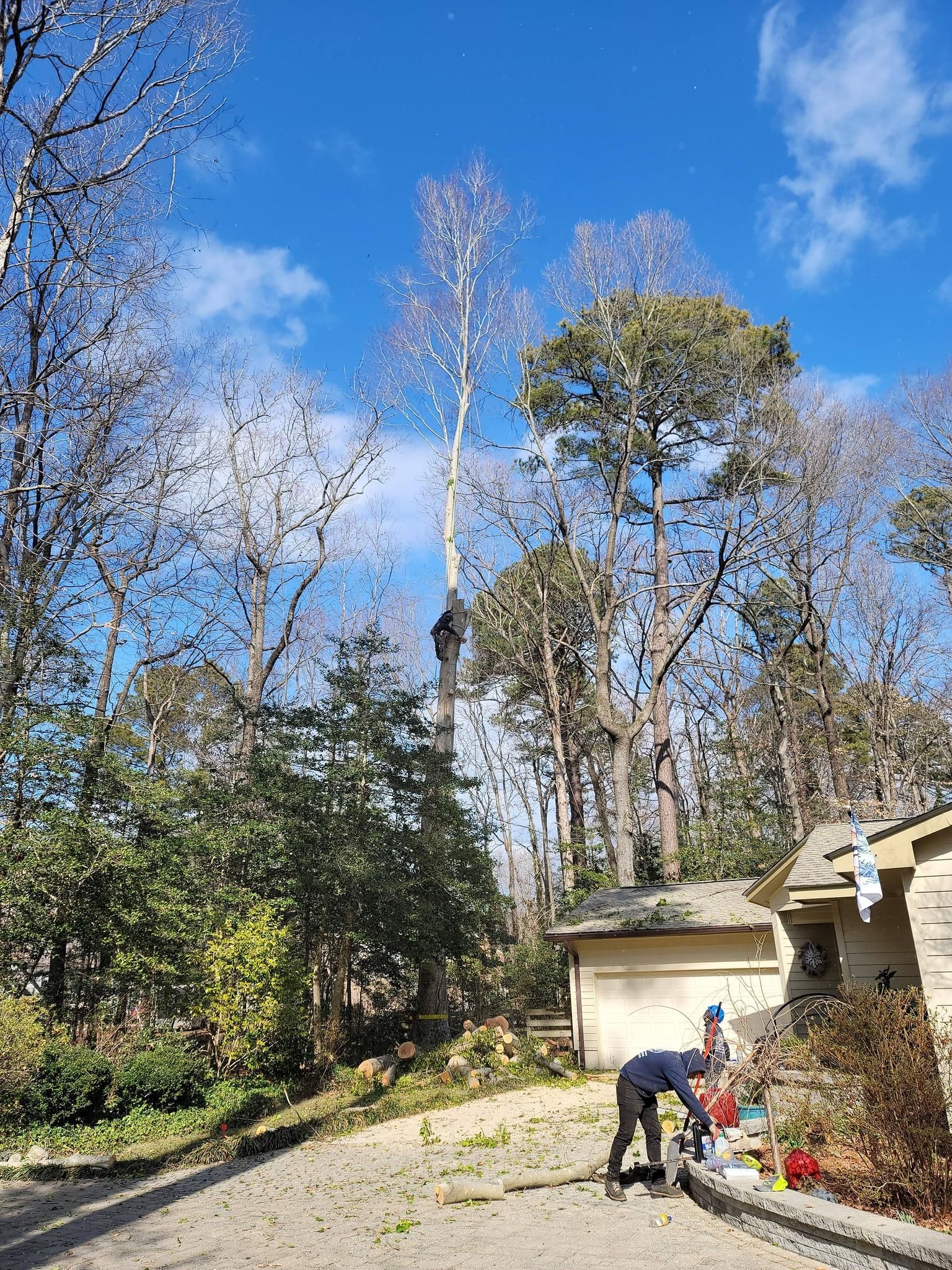  for Integrity Tree and Landscaping in Lynchburg, VA