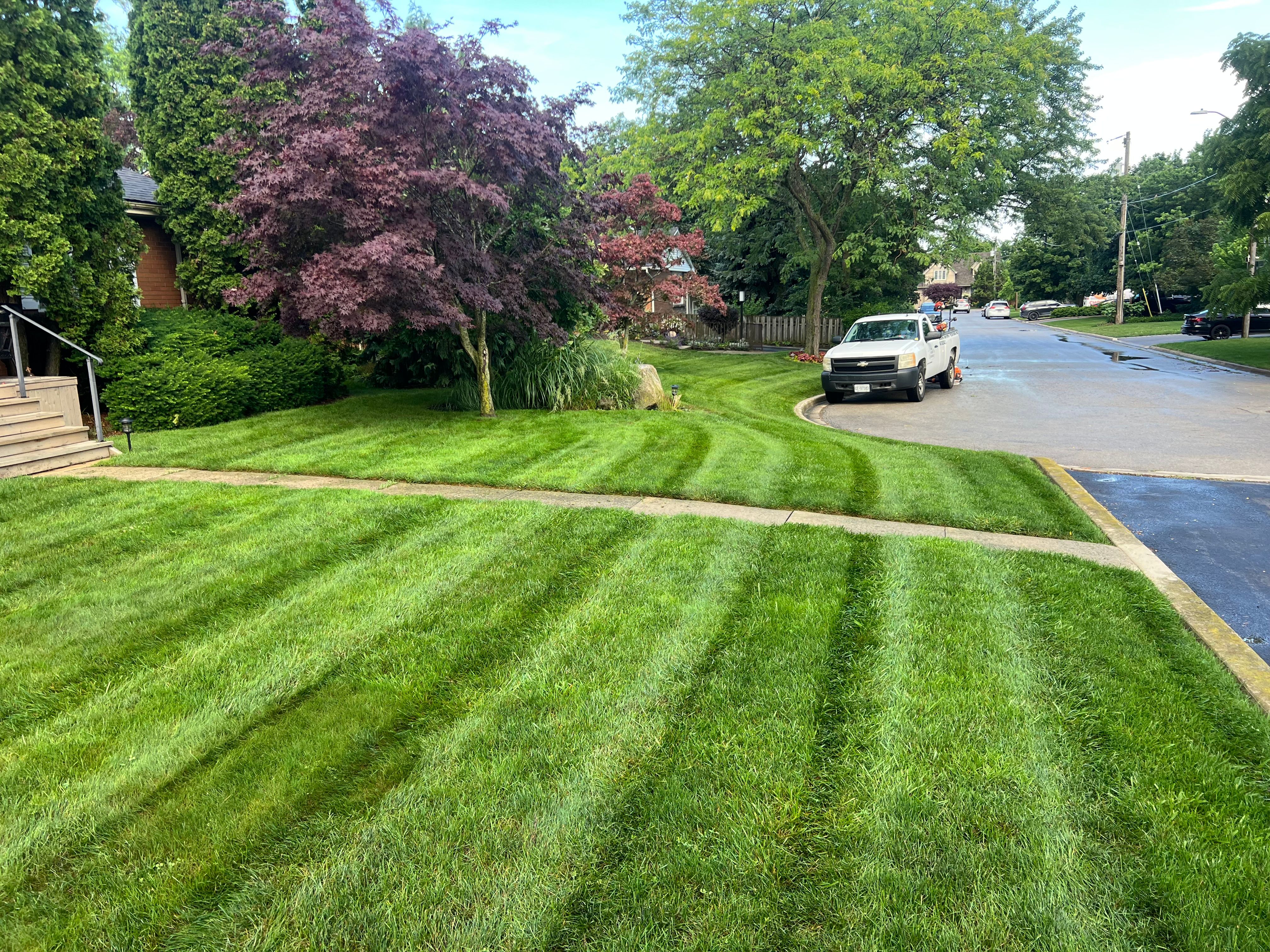  for CMN Exterior Maintenance in Hamilton, ON