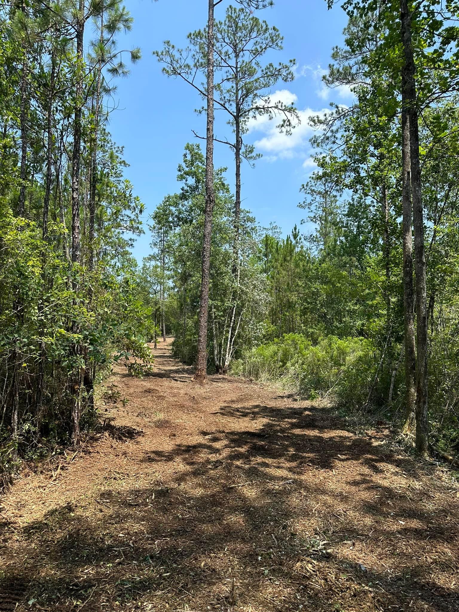  for White’s Land Maintenance in Milton,, FL