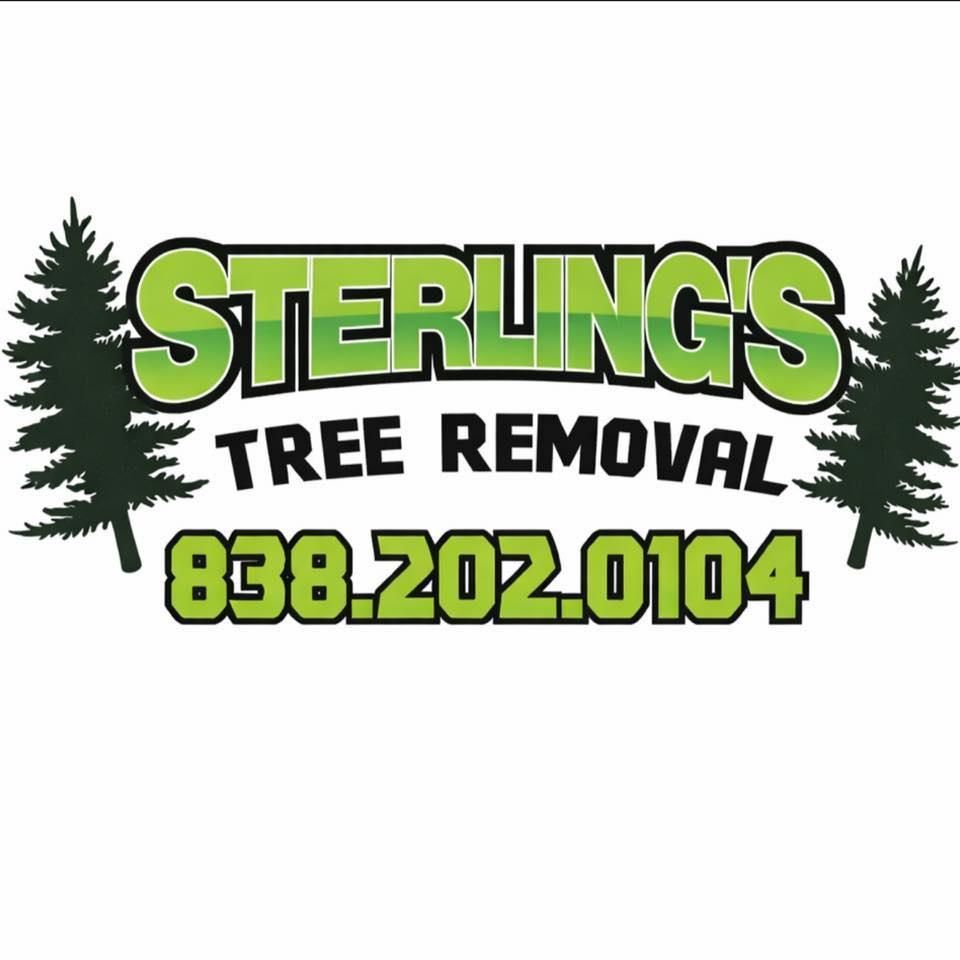  for Sterlings Tree Removal in Cobleskill, New York