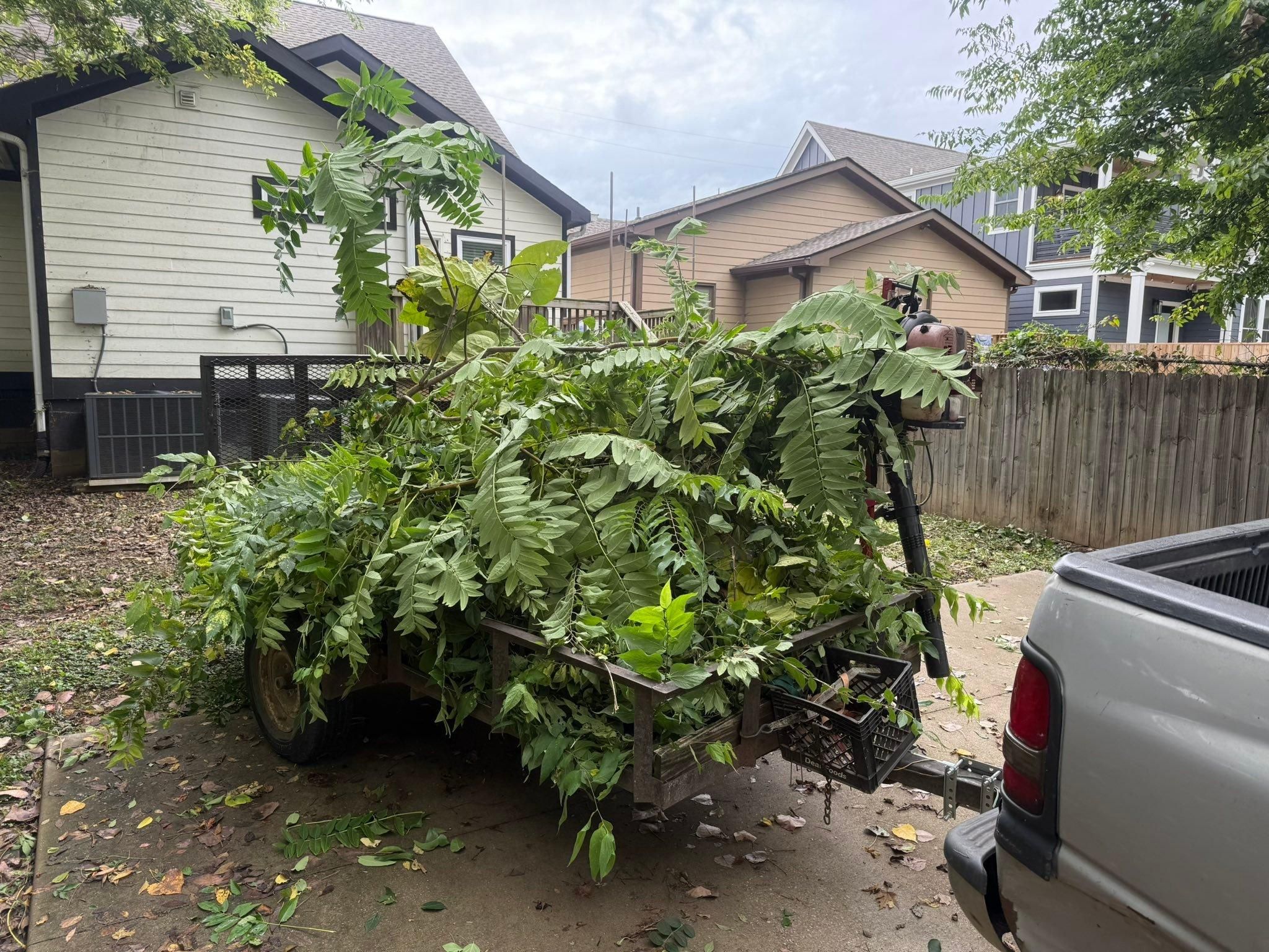  for Grass Management in Nashville, TN