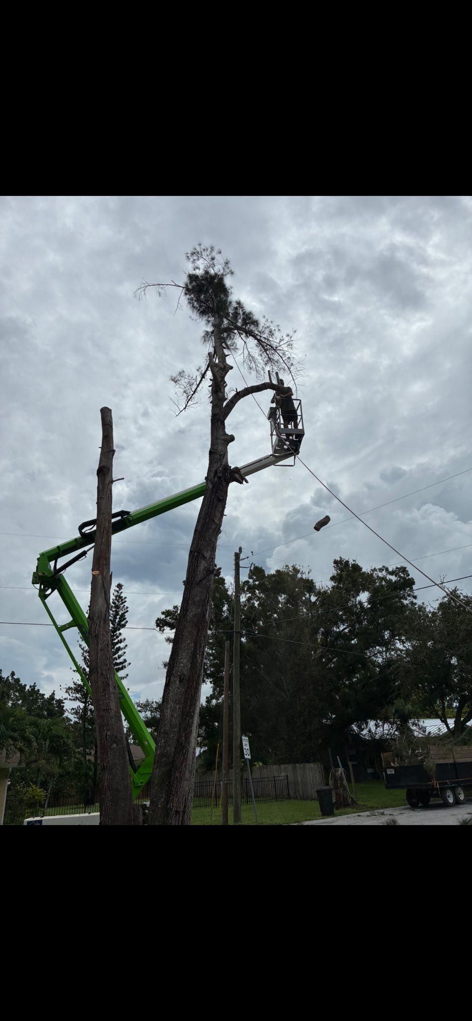  for Nick of Time Tree Service in North Port, FL