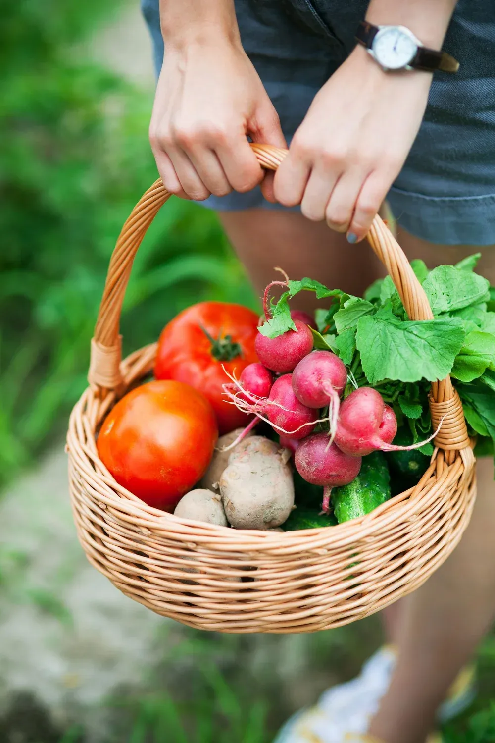 All Photos for Chief Lawn Care in Lee's Summit, MO