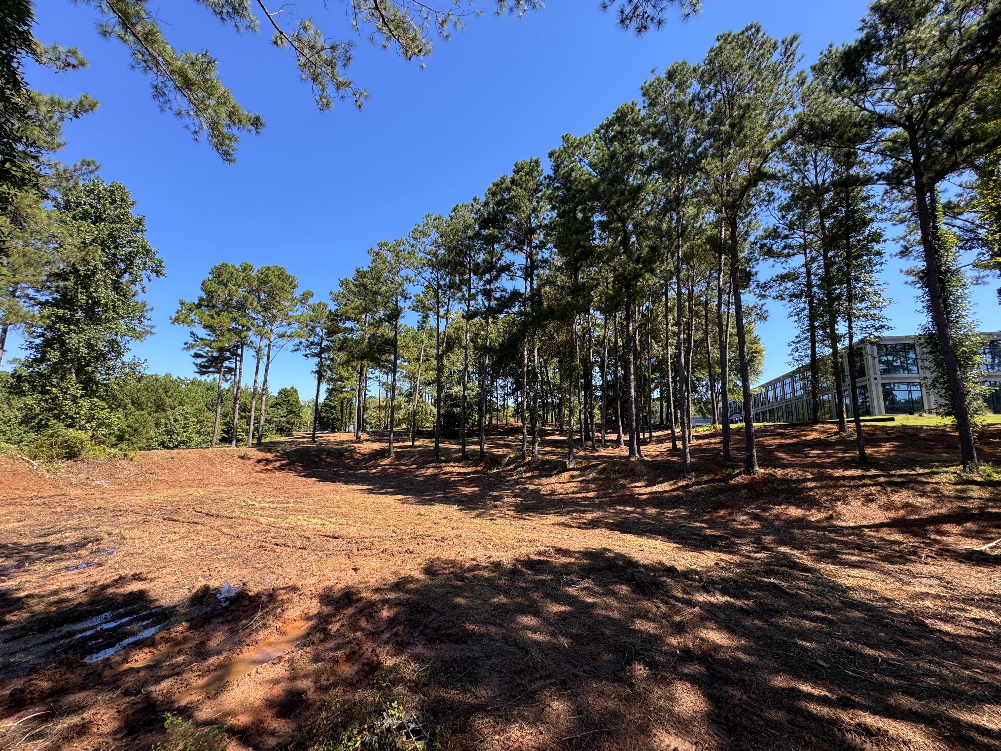  for Bryant's Land Services in Forsyth, GA