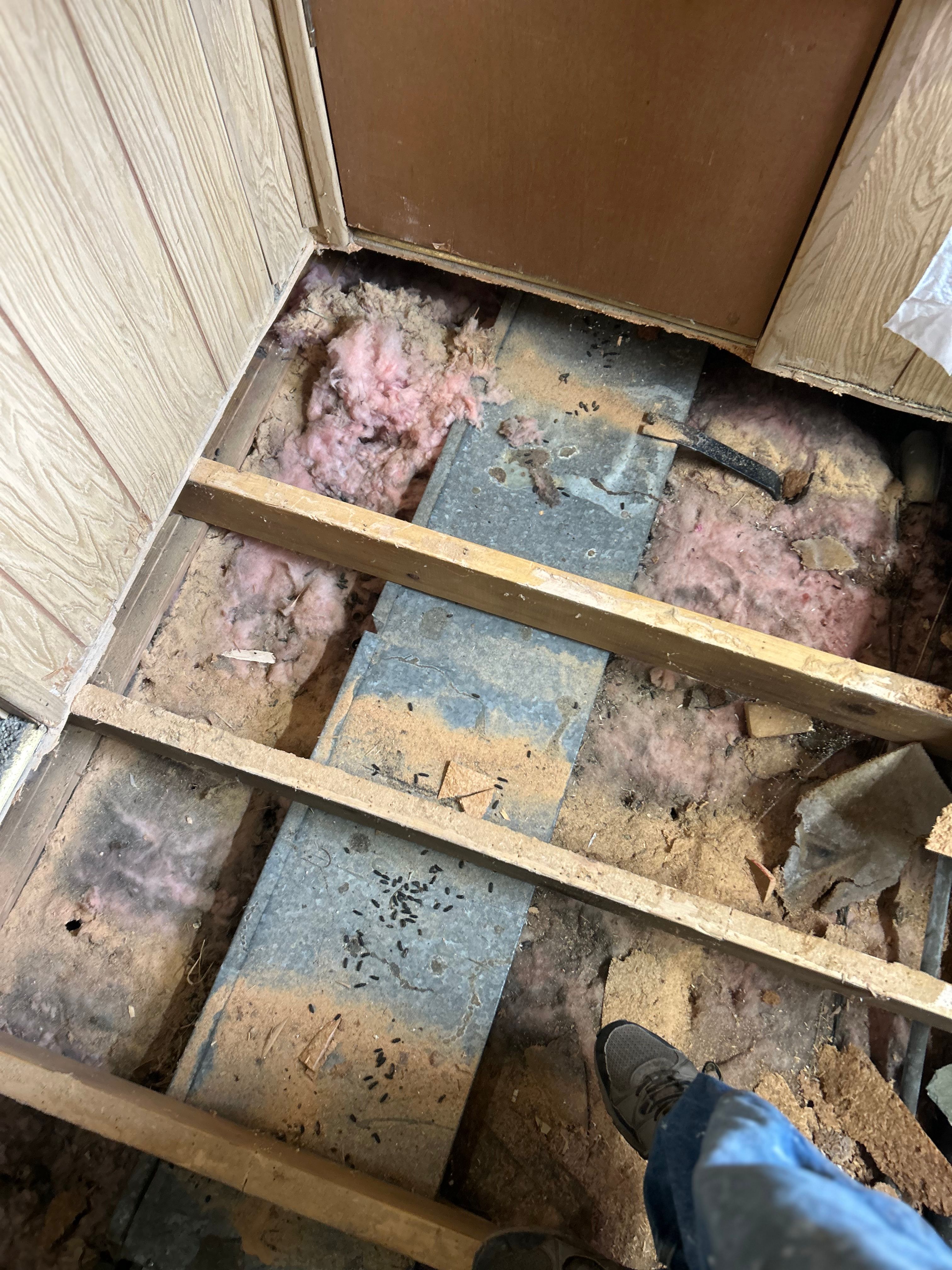  for Dustin Shaw LLC in Lewiston, ID