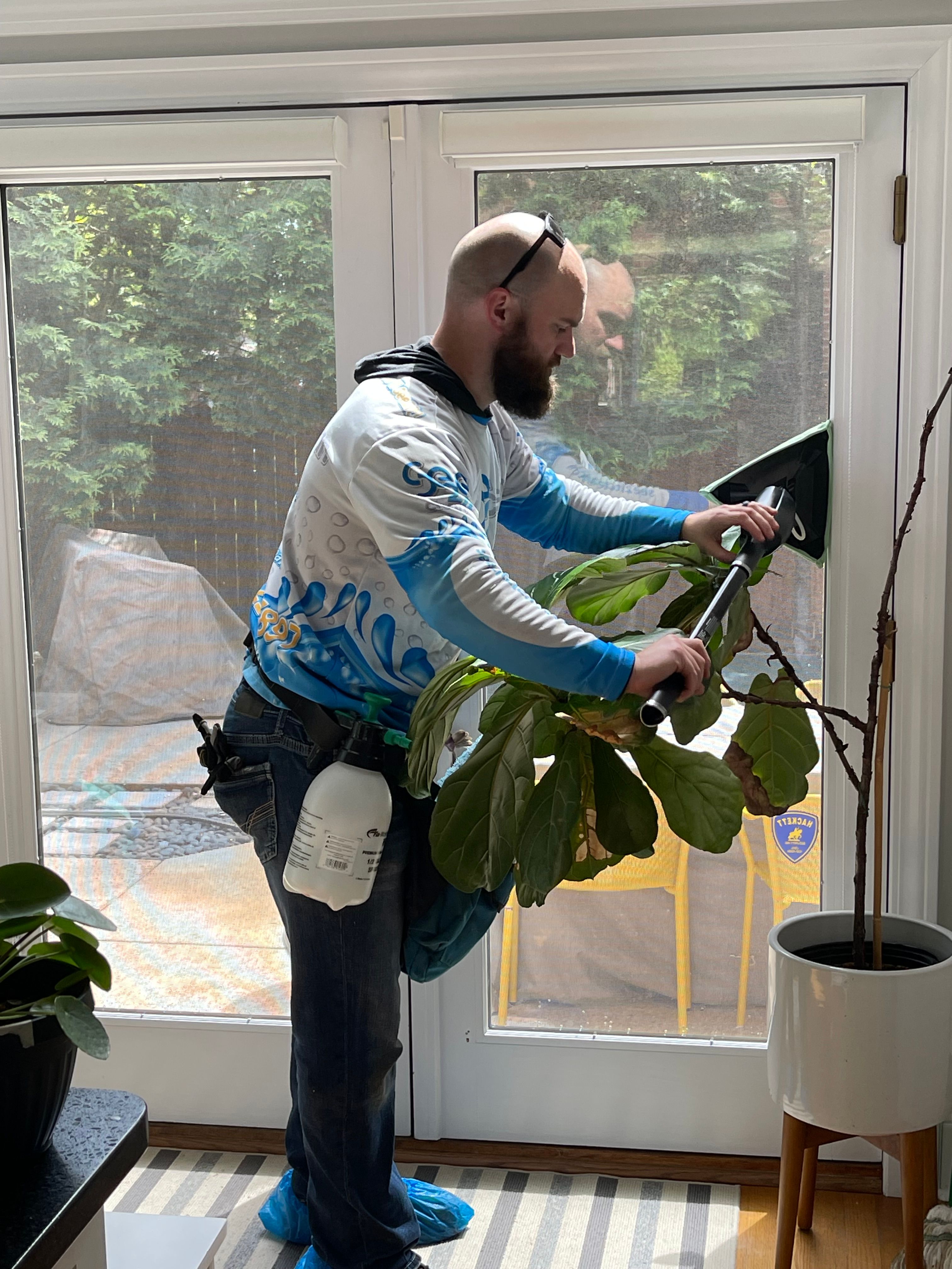  for See2it Clean in St Louis, MO