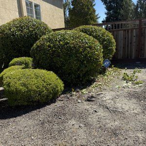  for CBA Landscaping in Hayward, CA