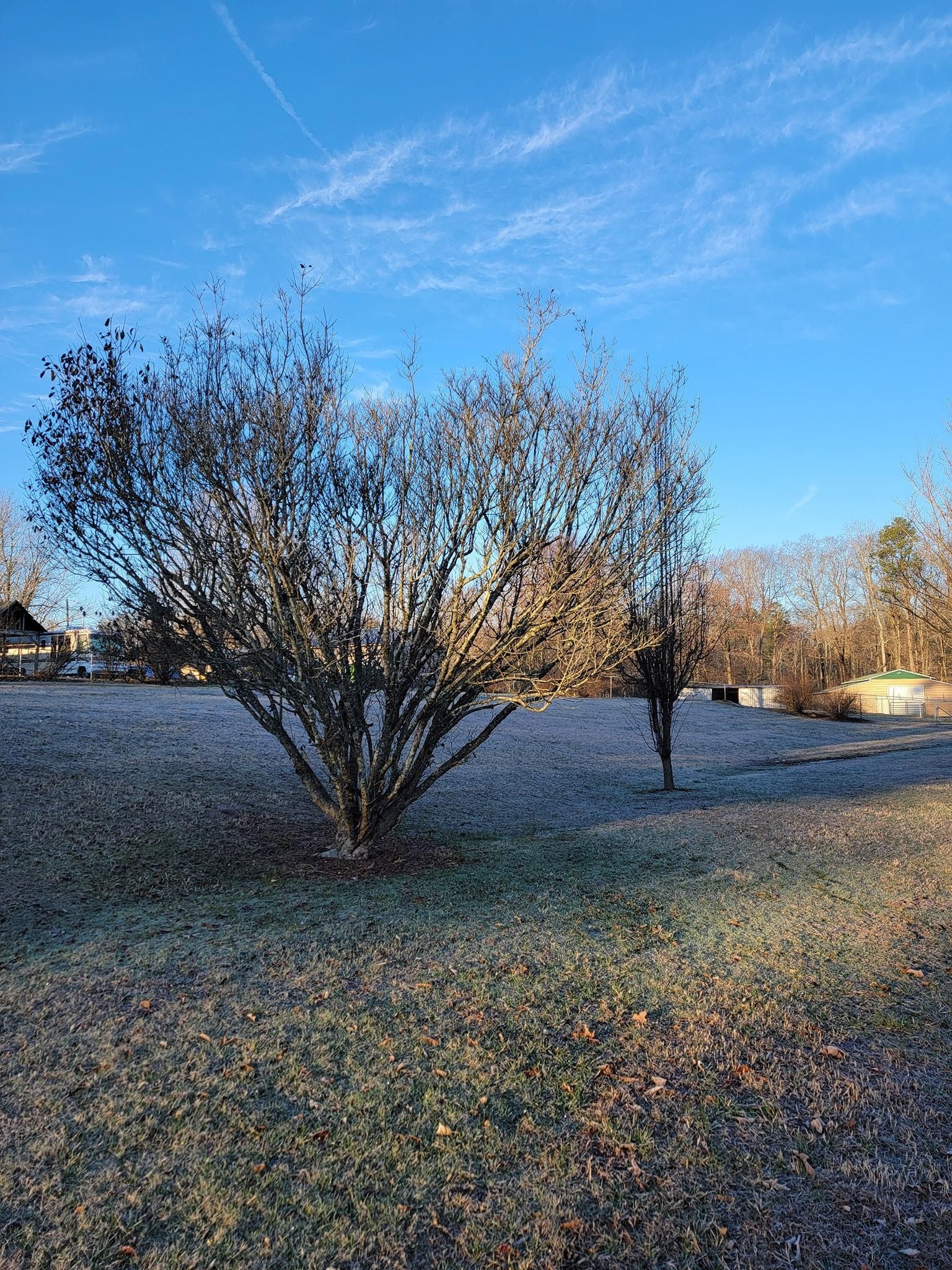  for Piedmont Lawn and Landscaping in Lexington, NC