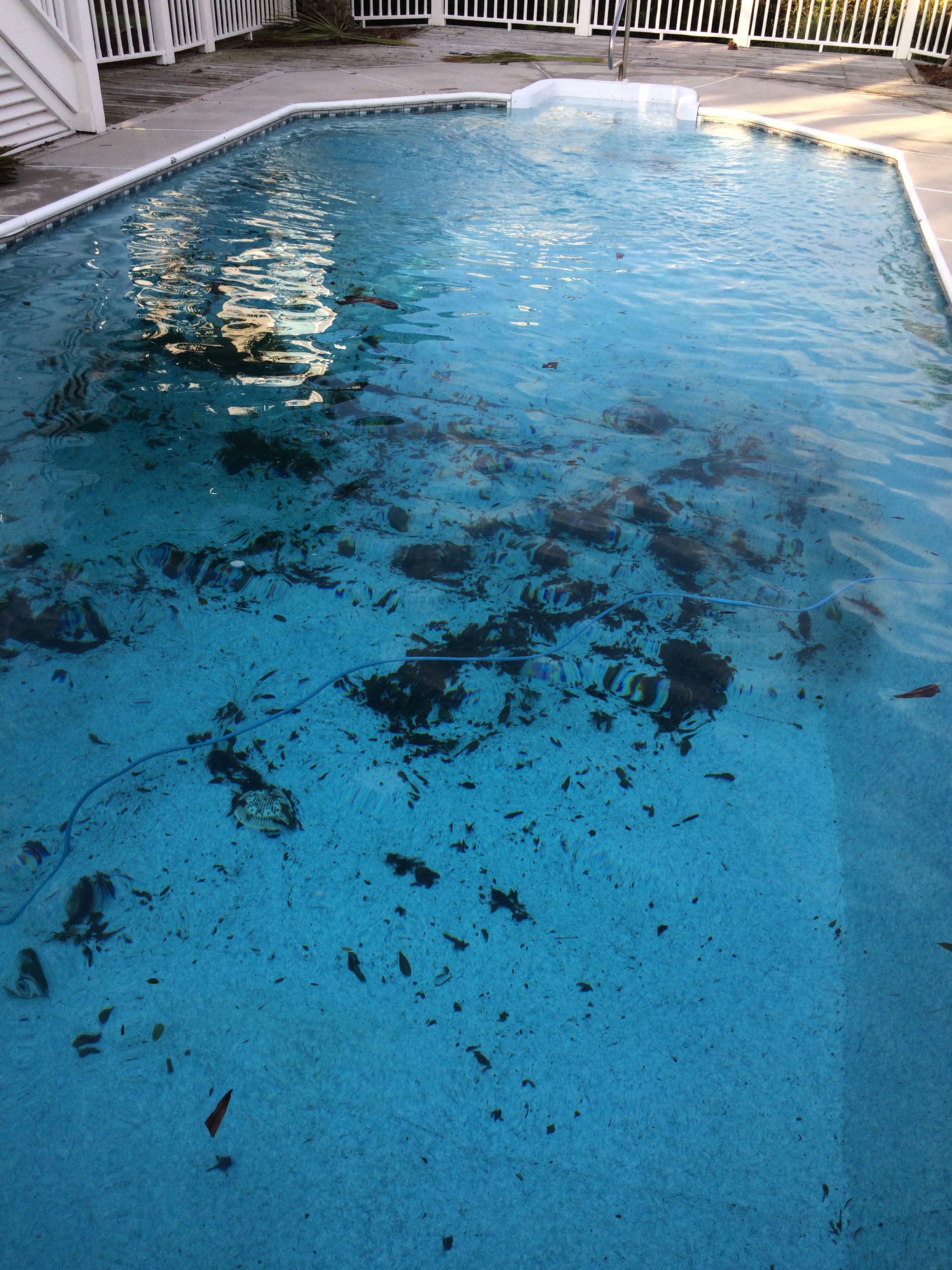  for Pool Services of Wilmington in Wilmington, NC