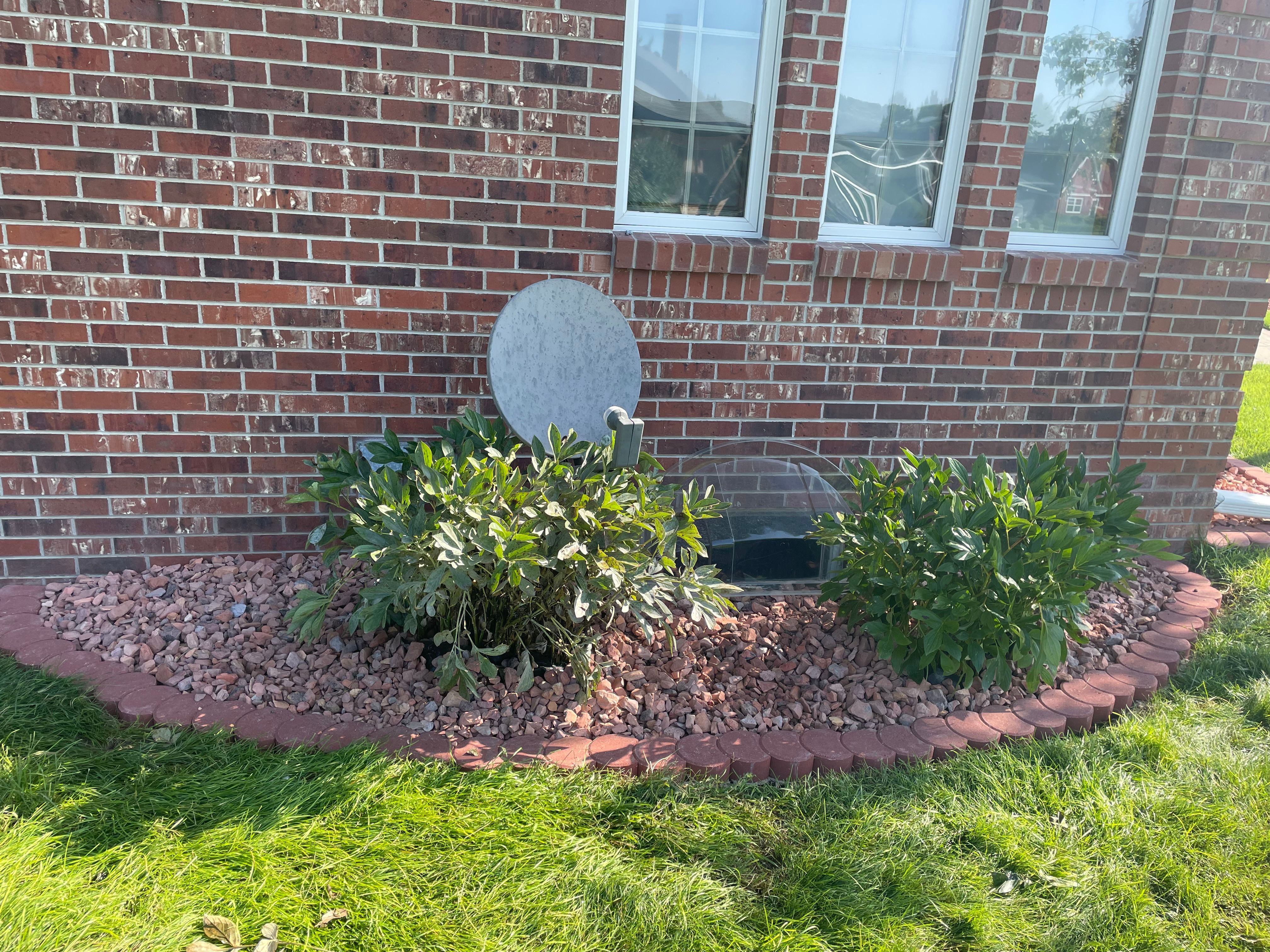  for Jacks Lawn & Landscape LLC  in Hastings, NE