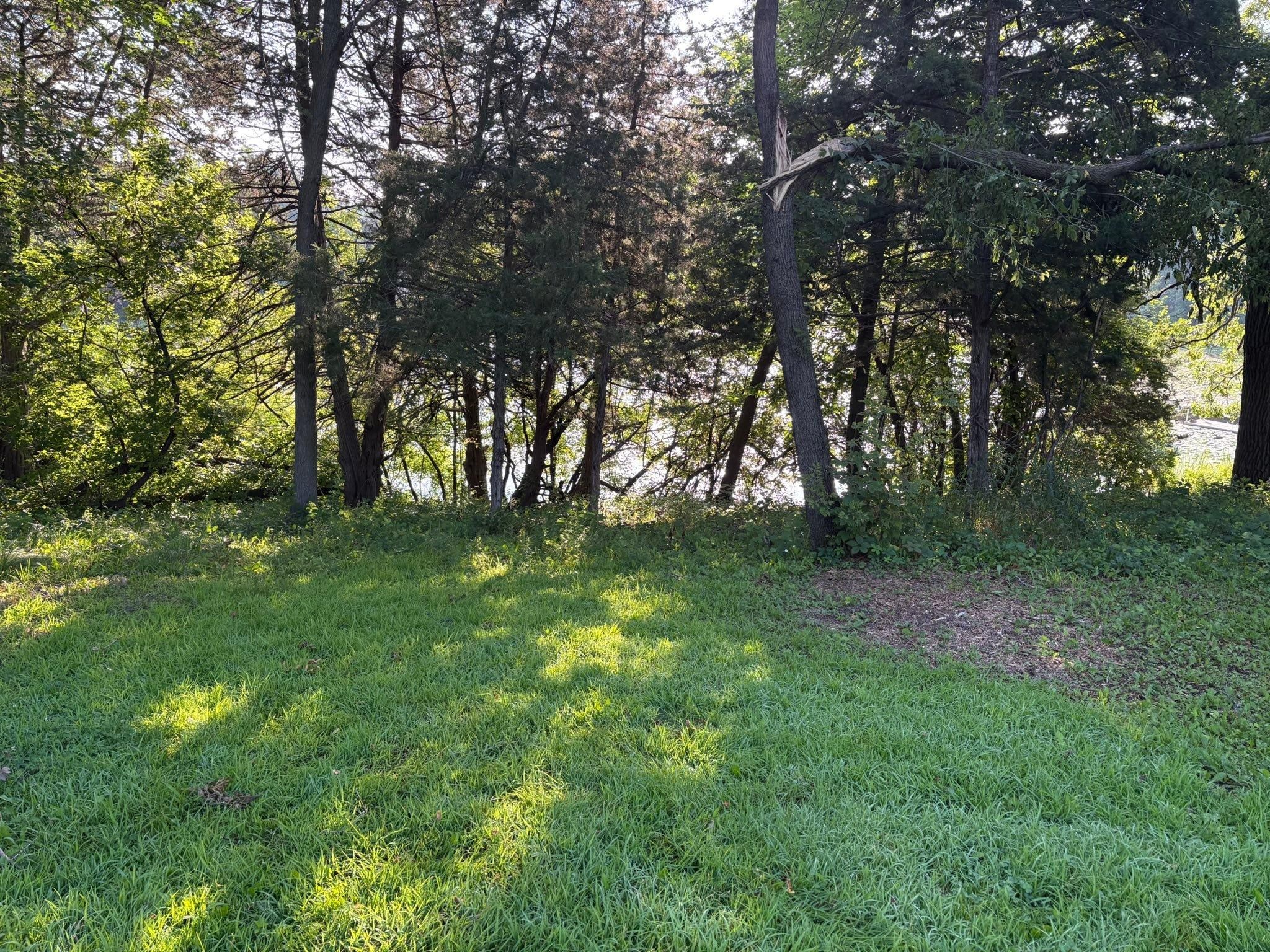  for Premier Services in New London, MN