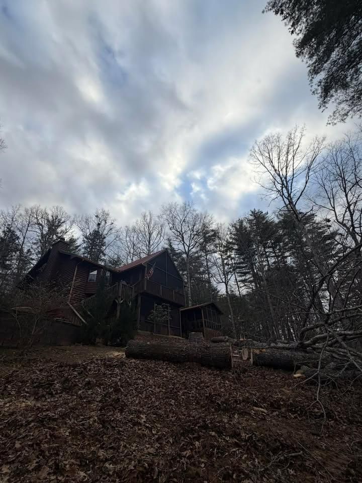  for C & D Landscaping Services LLC in Blairsville, GA