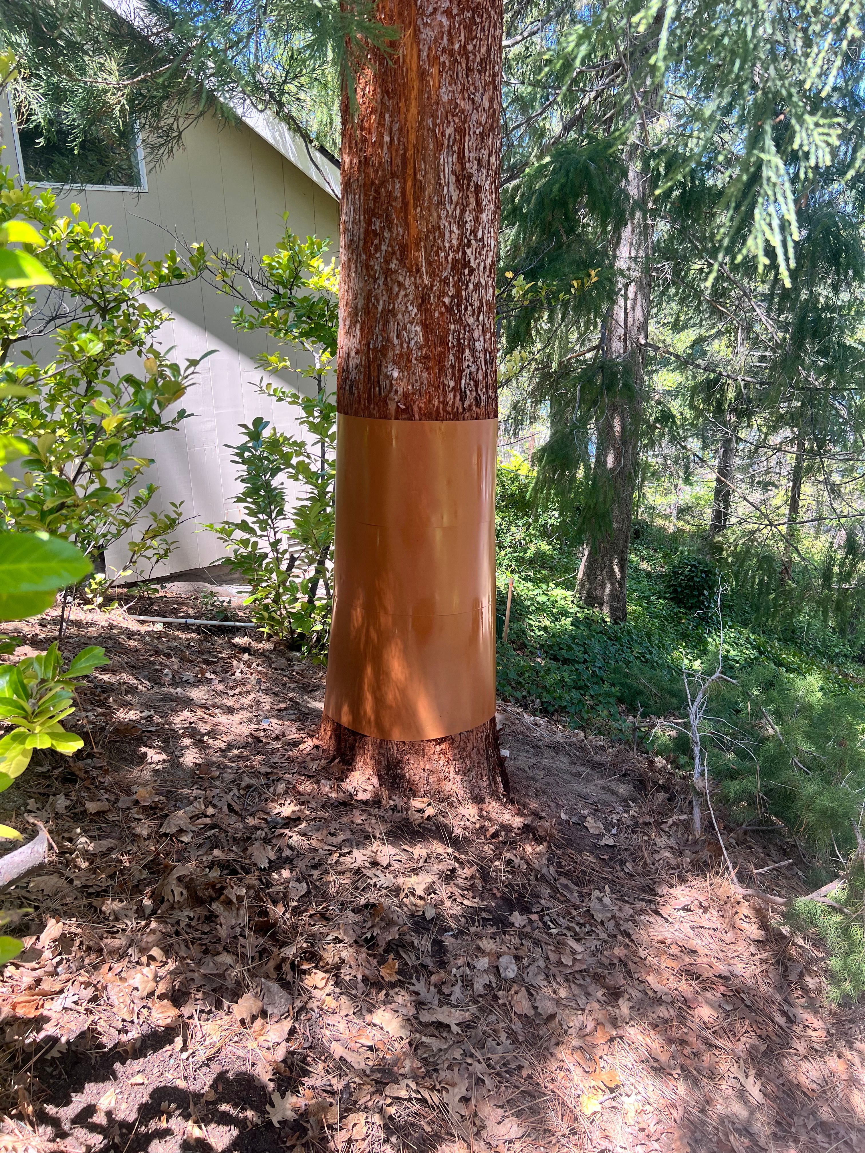  for Poseidon Valley Tree Service Corp in San Bernardino, CA