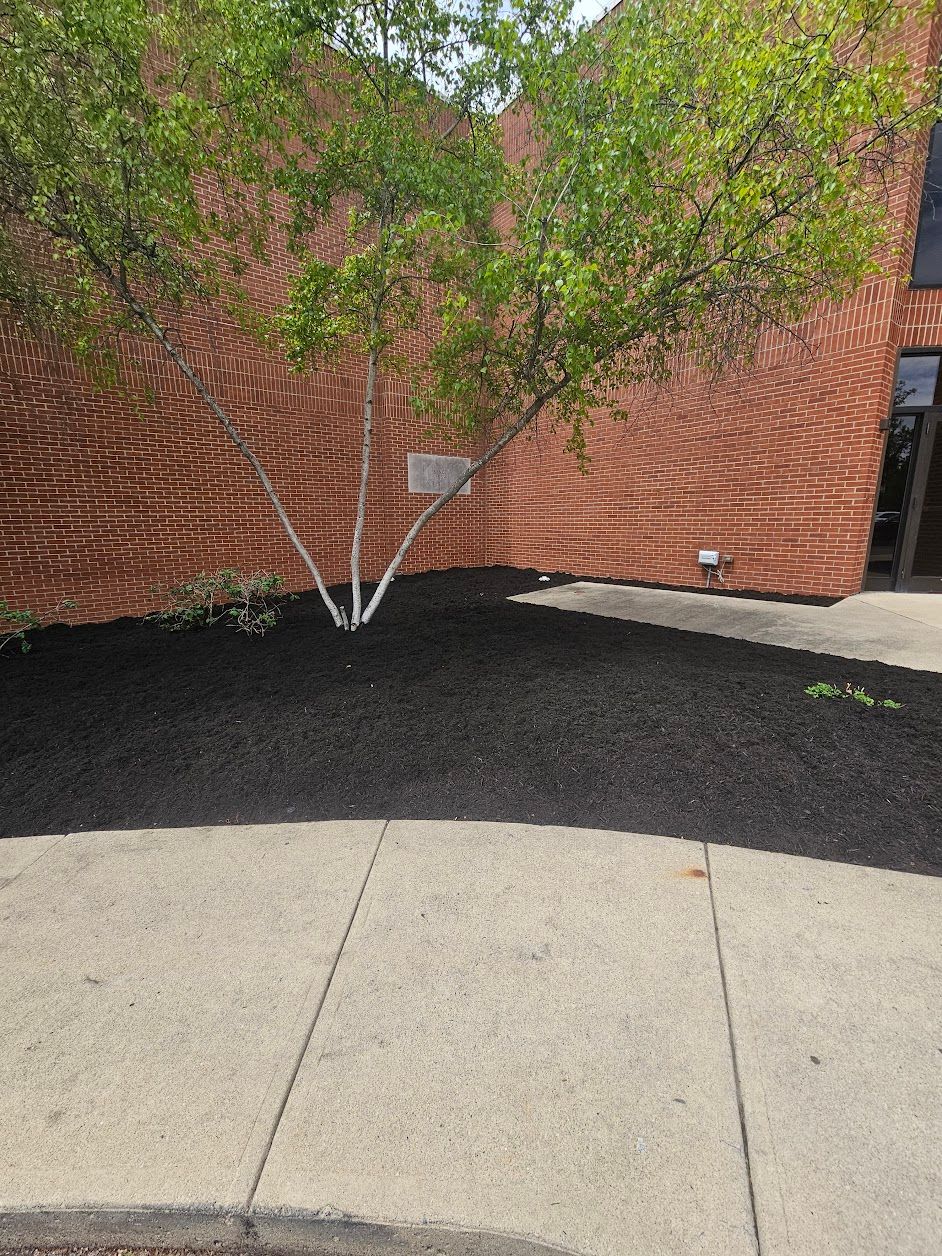  for Tel Ma Landscaping Maintenance LLC  in Urbana, OH