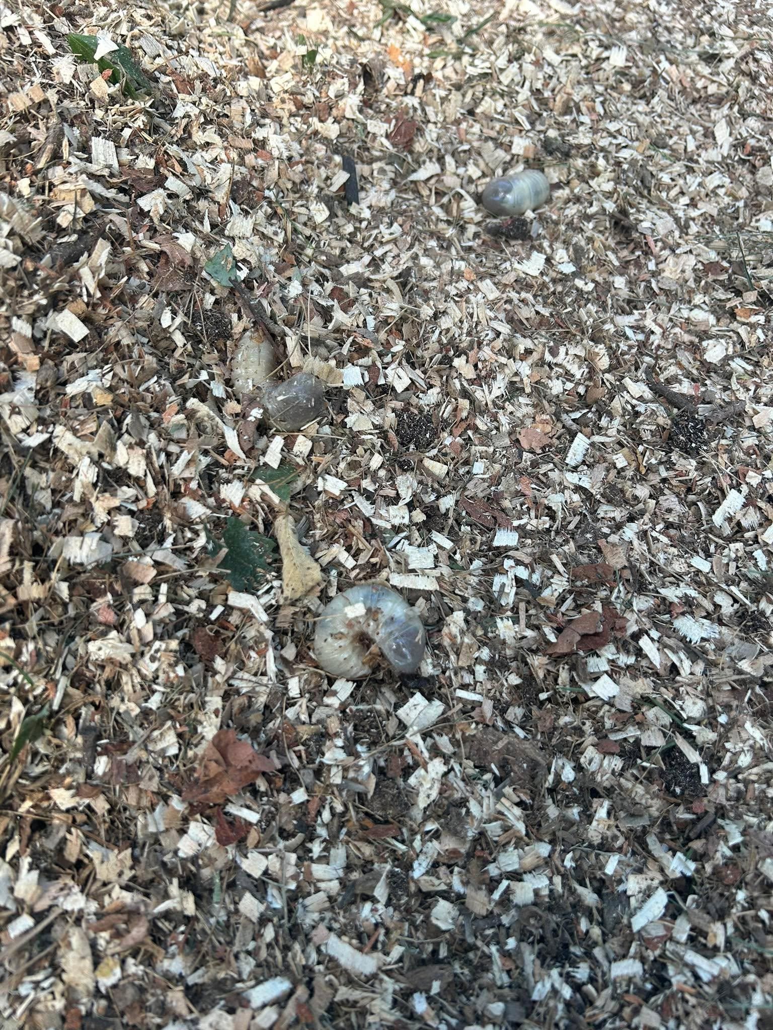  for Jonathan A. Henne Property Services. in Hamburg, PA