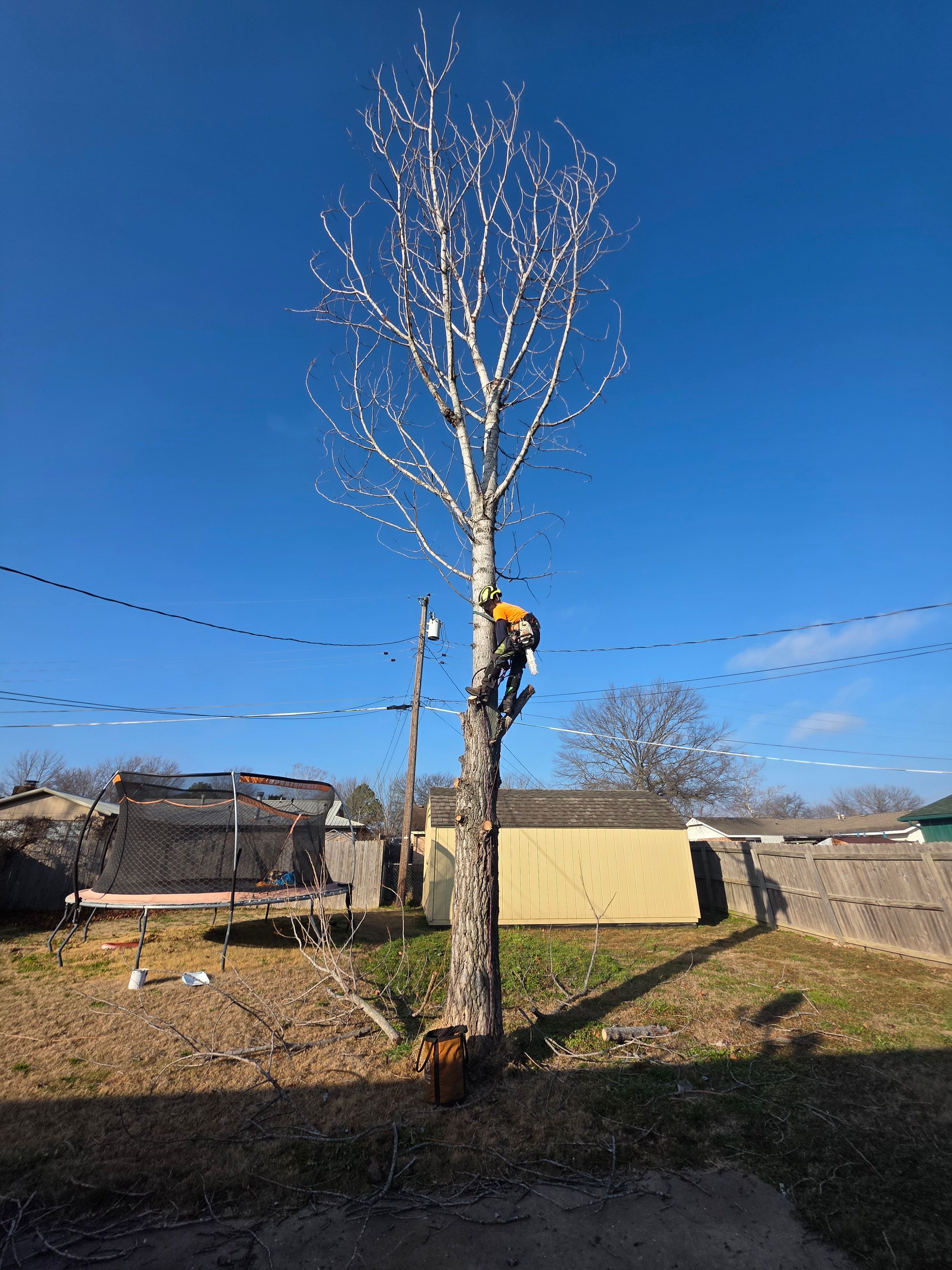  for Oklahoma Tree Guy in Bartlesville, OK