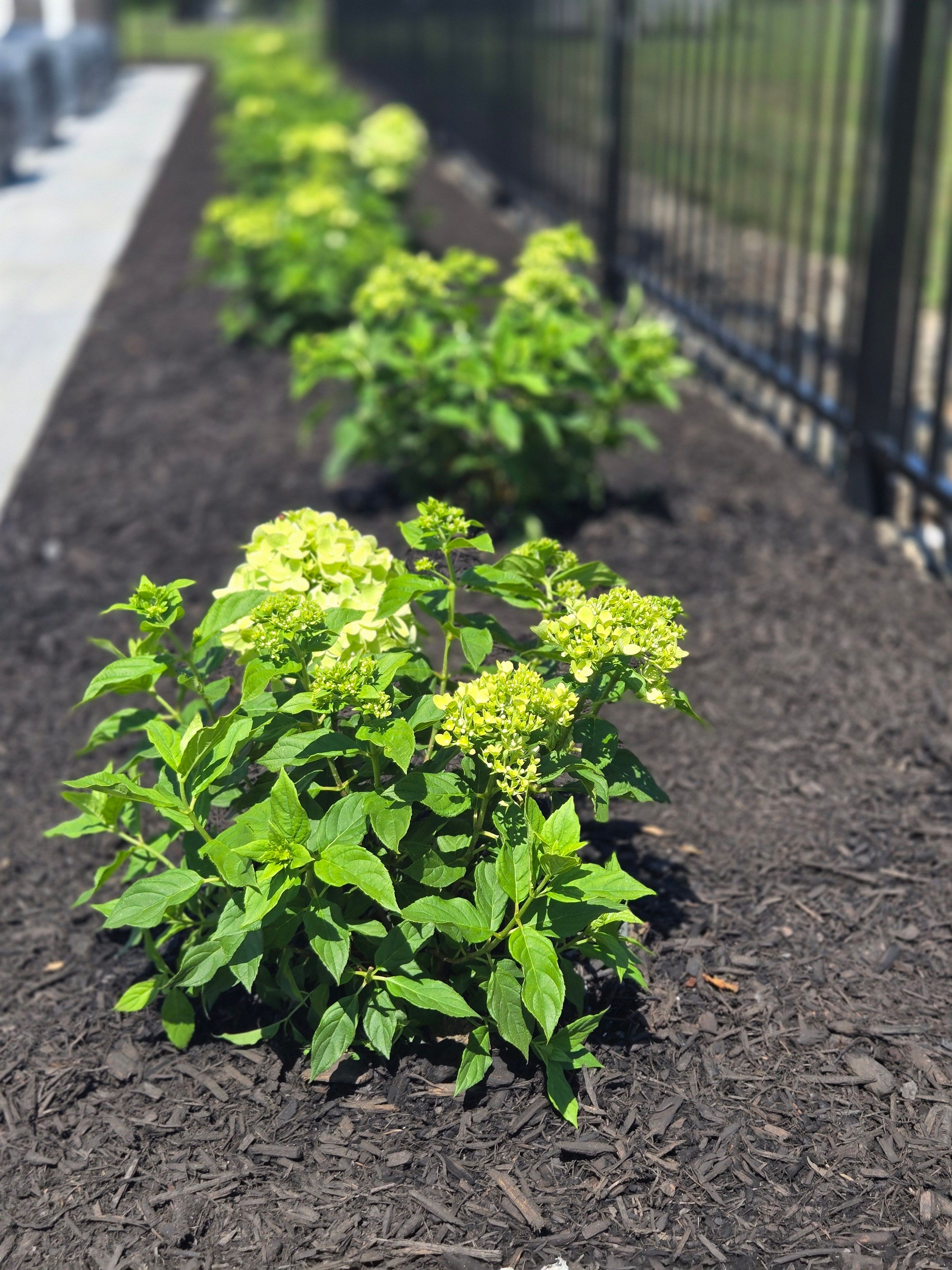  for Tony Monaco Landscaping Inc. in Orange County, NY