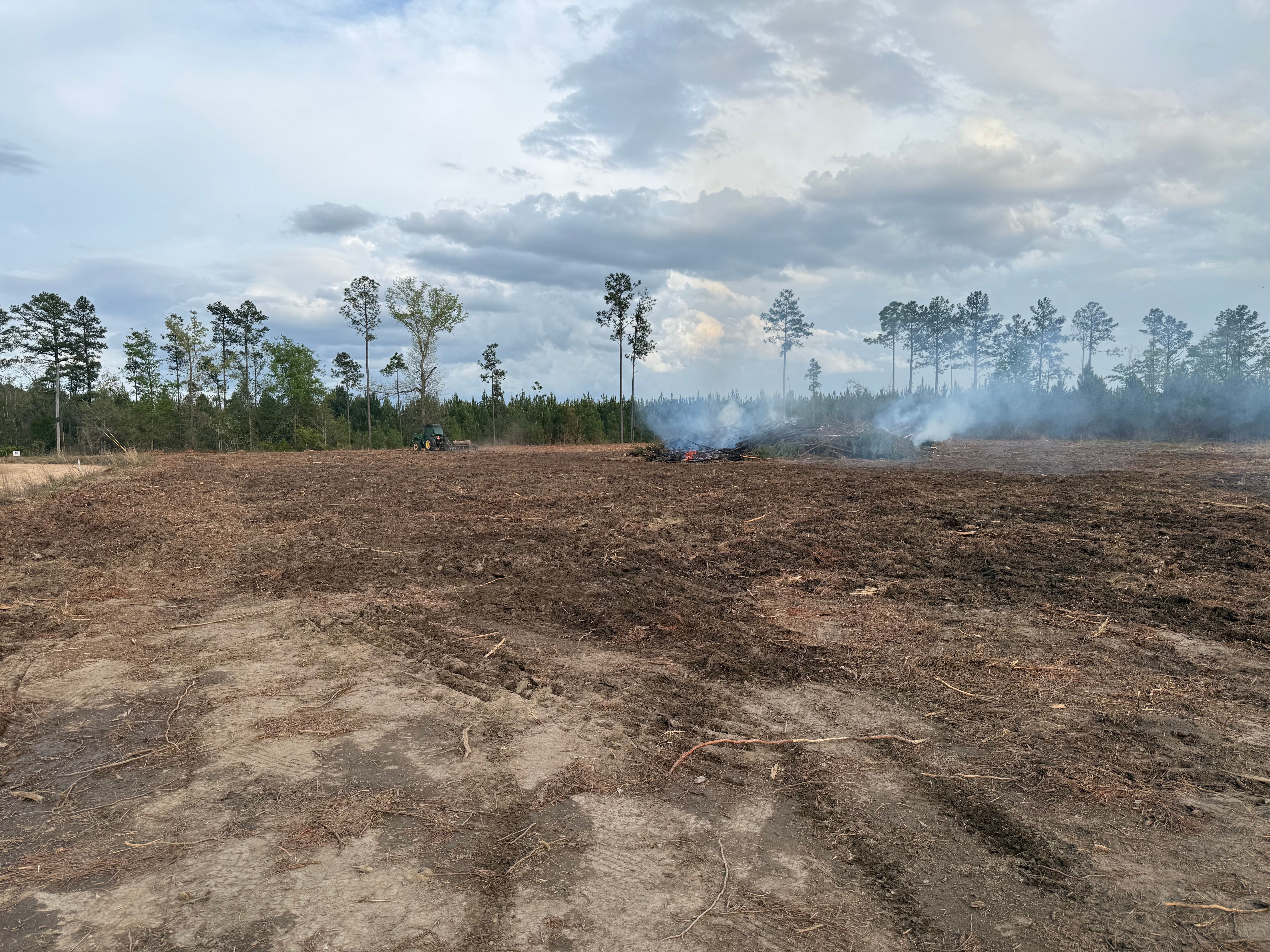  for T N L - Tree and Land Service in Reynolds, GA