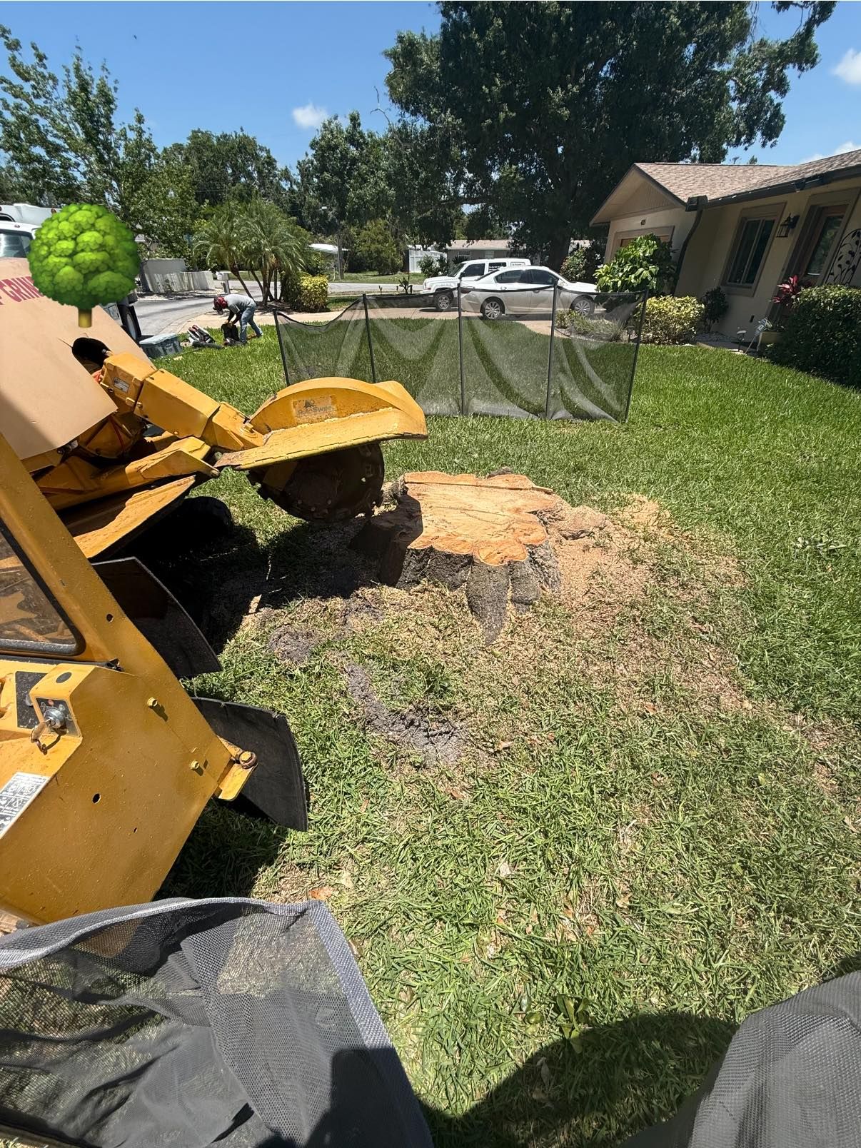  for Grizzly Stump Grinding in Sarasota, FL