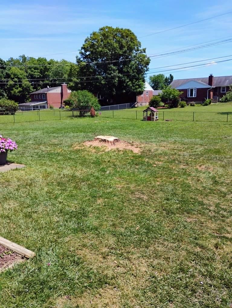  for Kingdom Tree Trimming and Removal LLC in Covington, KY