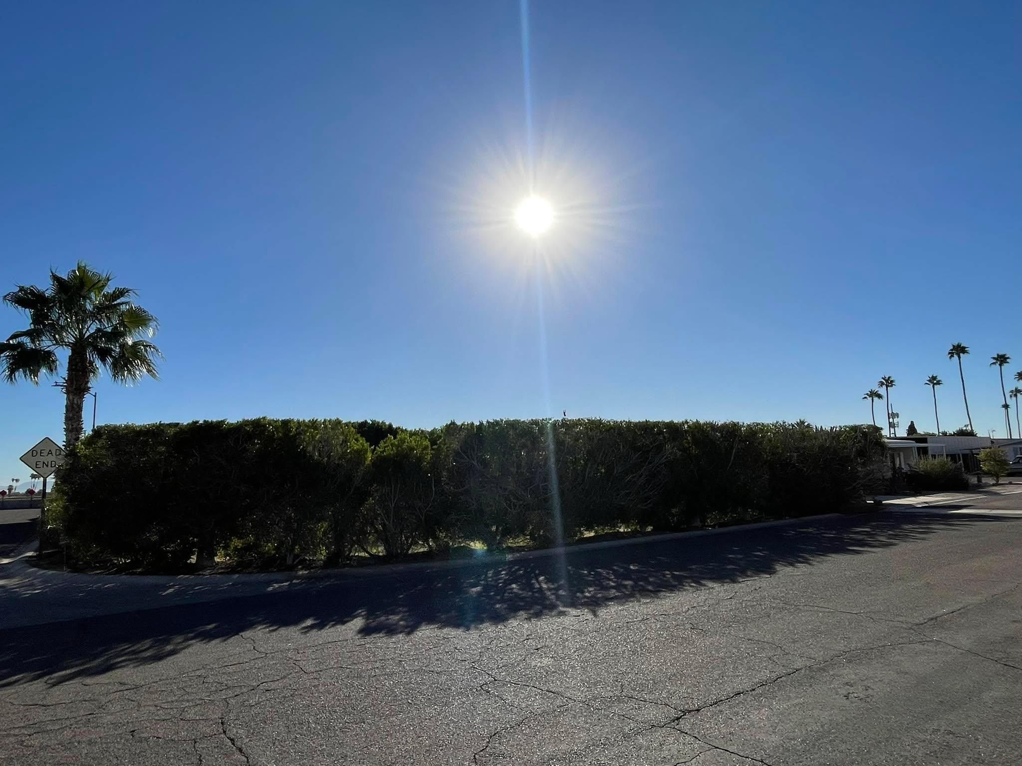  for Oliver L. Palm & Tree services in Yuma County, AZ