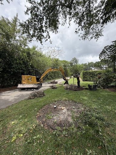  for Nurry Tree Services in Miami, FL