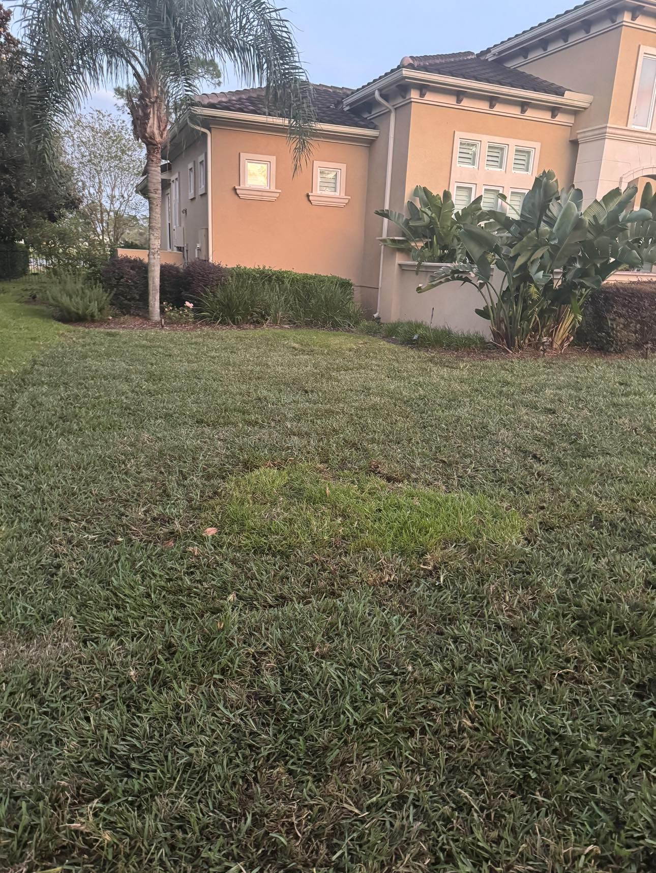  for Four Corners Sod in Saint Augustine, FL