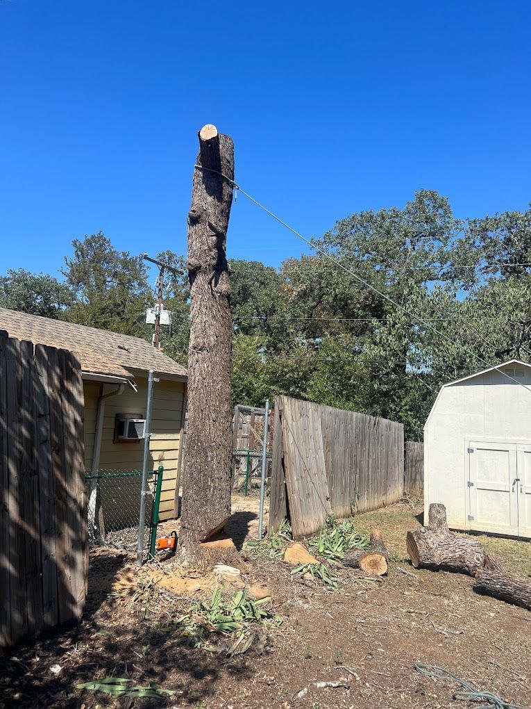  for Imber’s Tree Service LLC in Arlington, TX