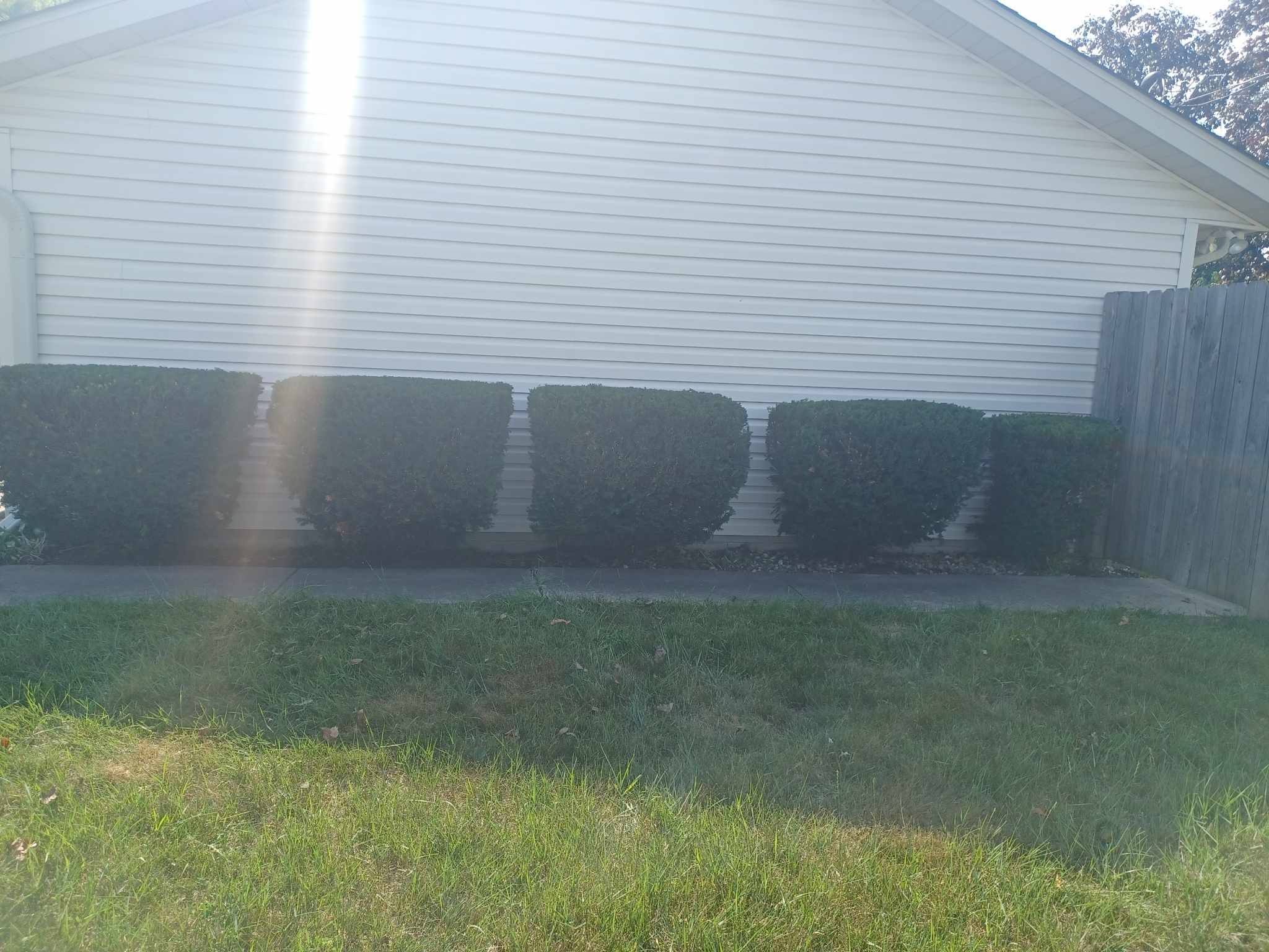 All Photos for Prime Landscaping 219 in Lake Station, IN