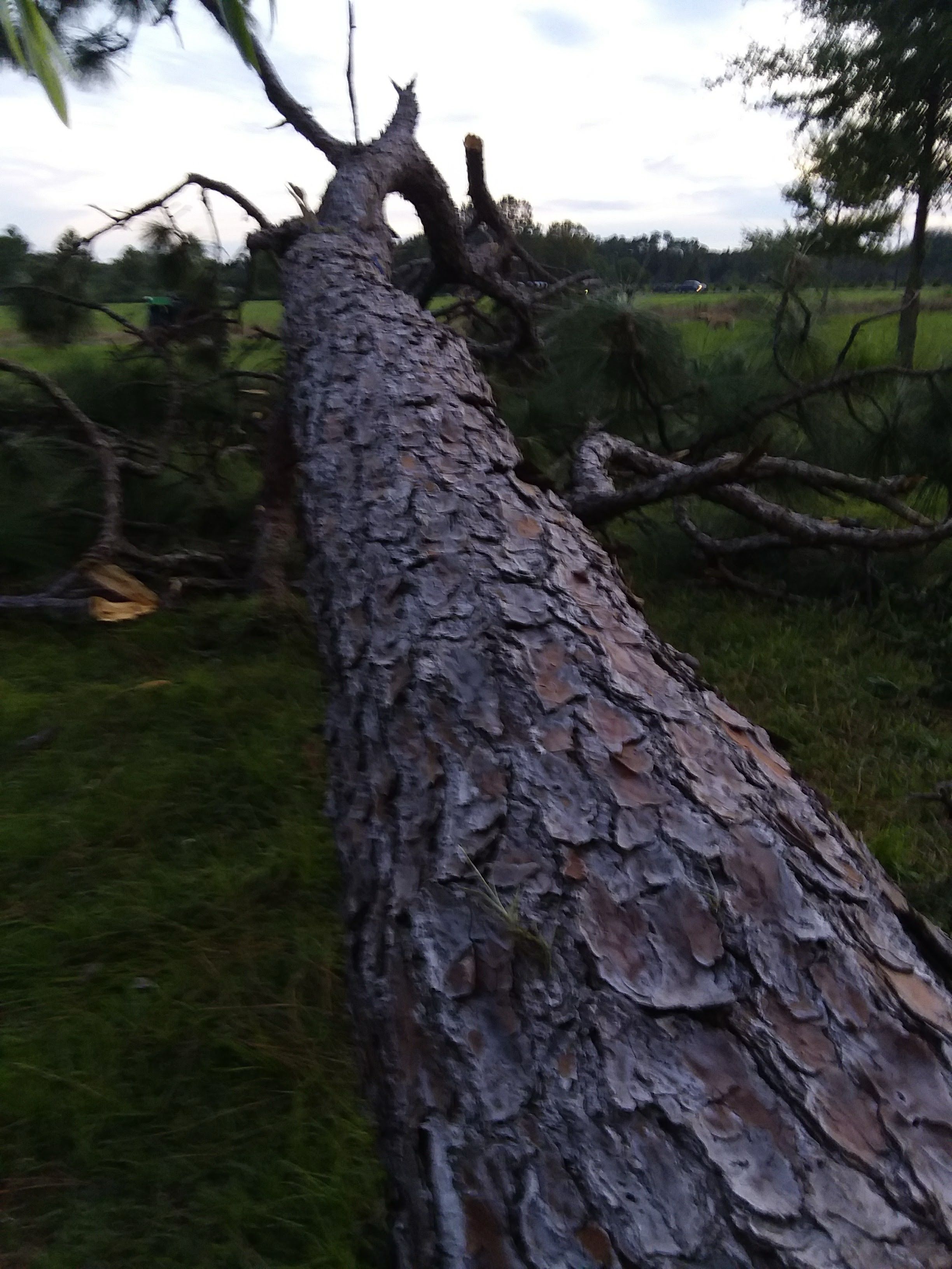  for Joel's Local Handyman Services in Clermont, FL