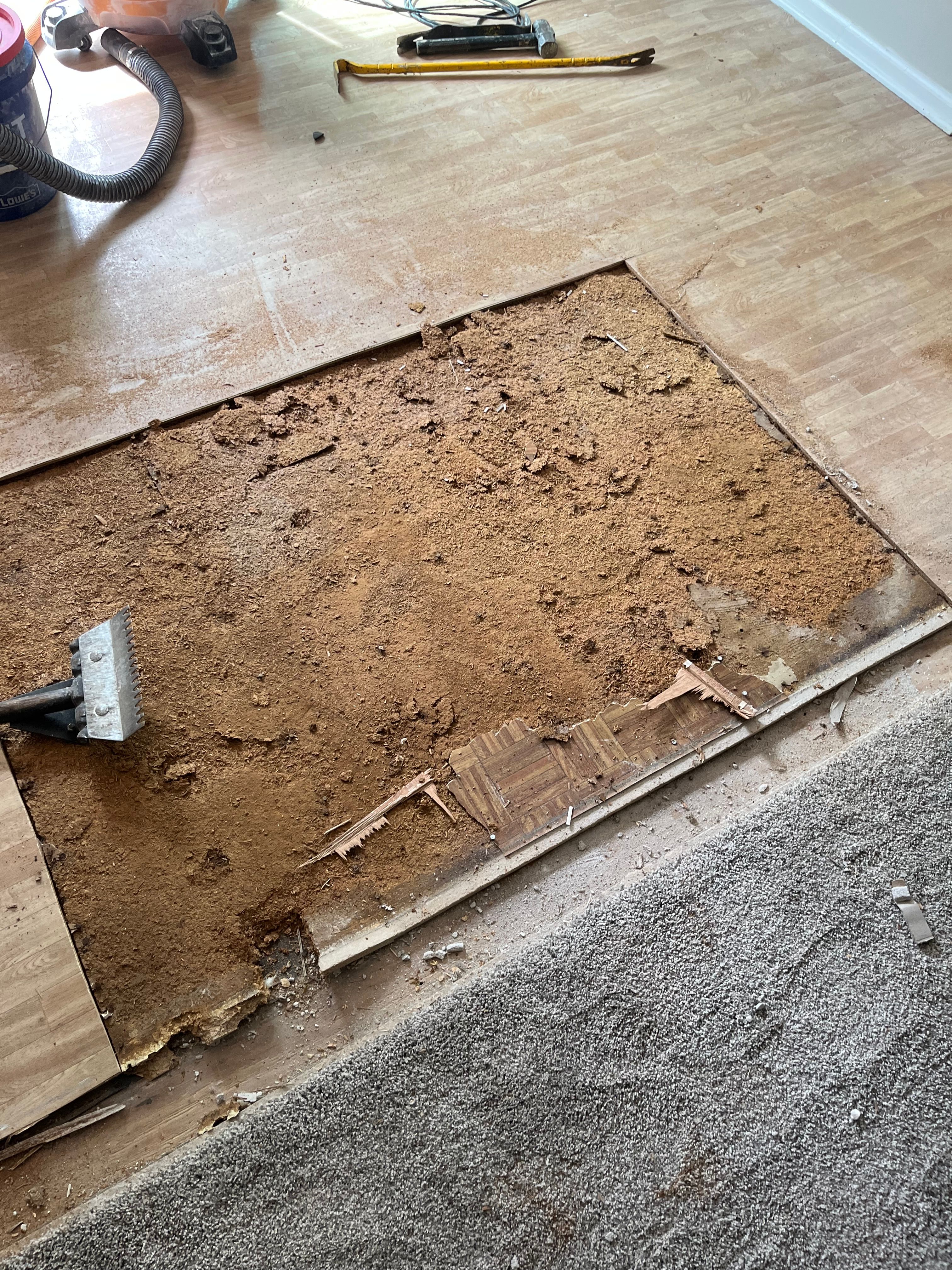  for Green Wing Home Services in Murrells Inlet, SC