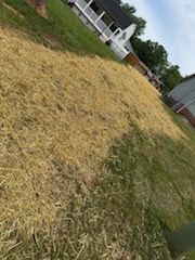 All Photos for Foothills Lawn and Landscape in North Carolina, NC
