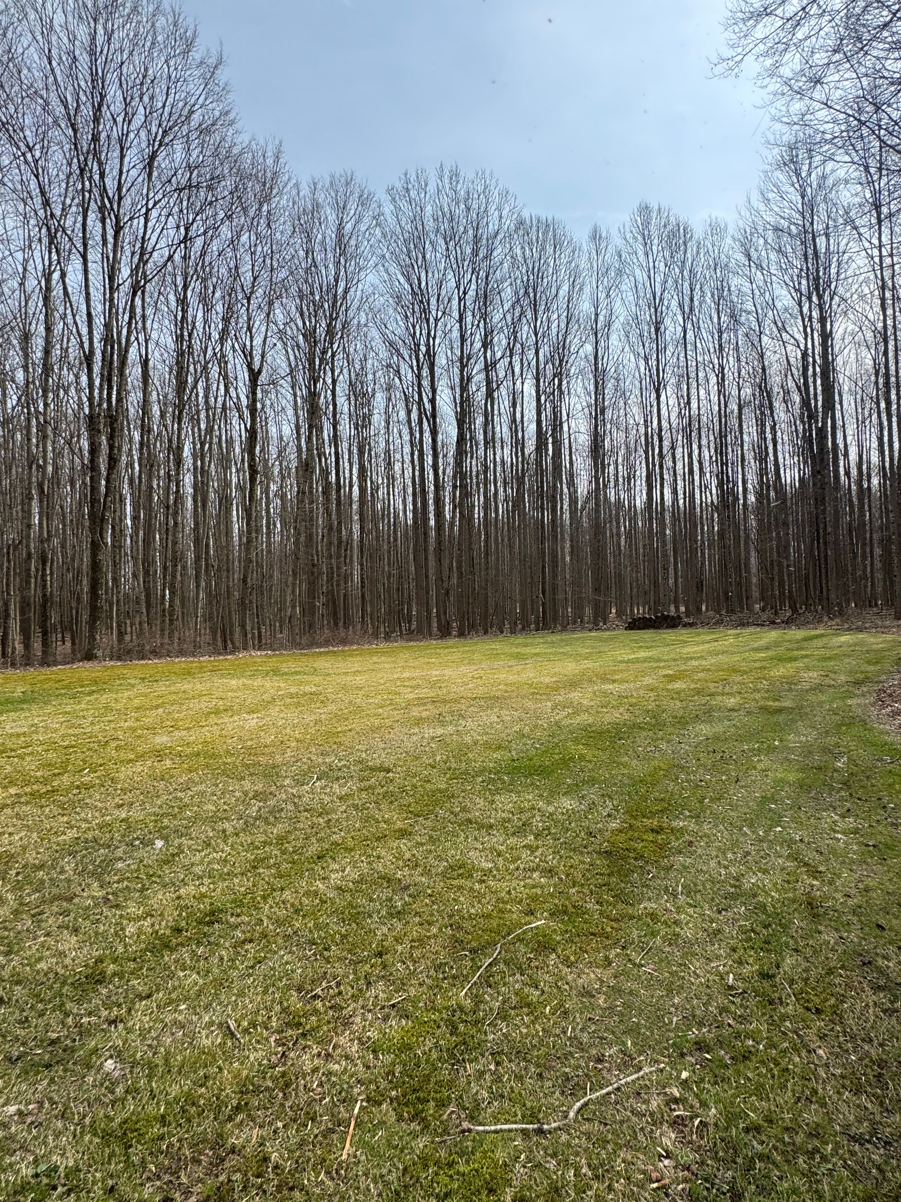  for McKenzie's Landscaping LLC in Shelby, OH