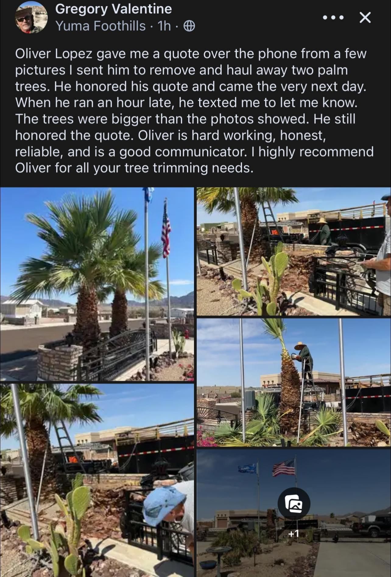  for Oliver L. Palm & Tree services in Yuma County, AZ