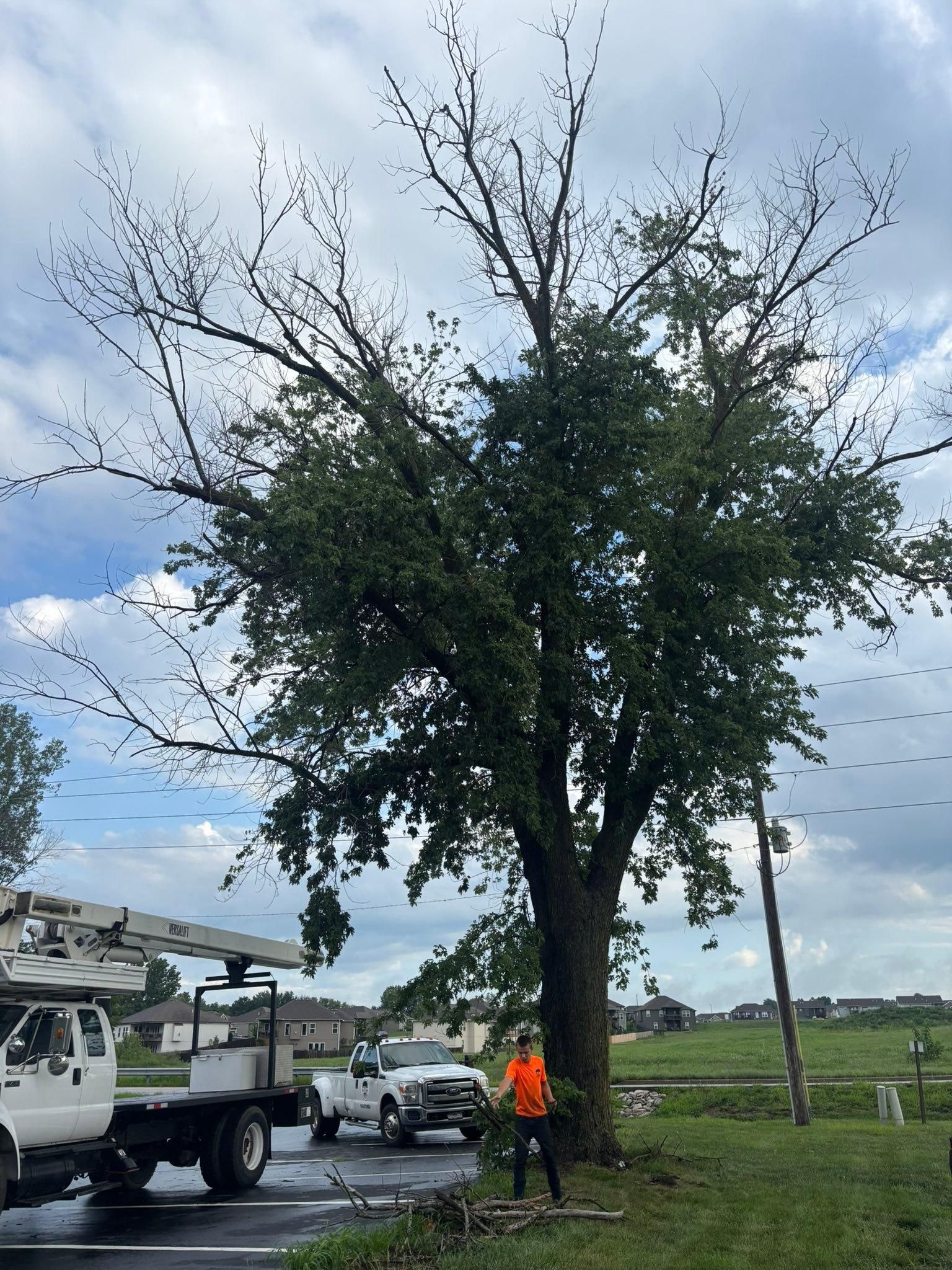 All Photos for Cross Family Tree Service in Kearney, MO